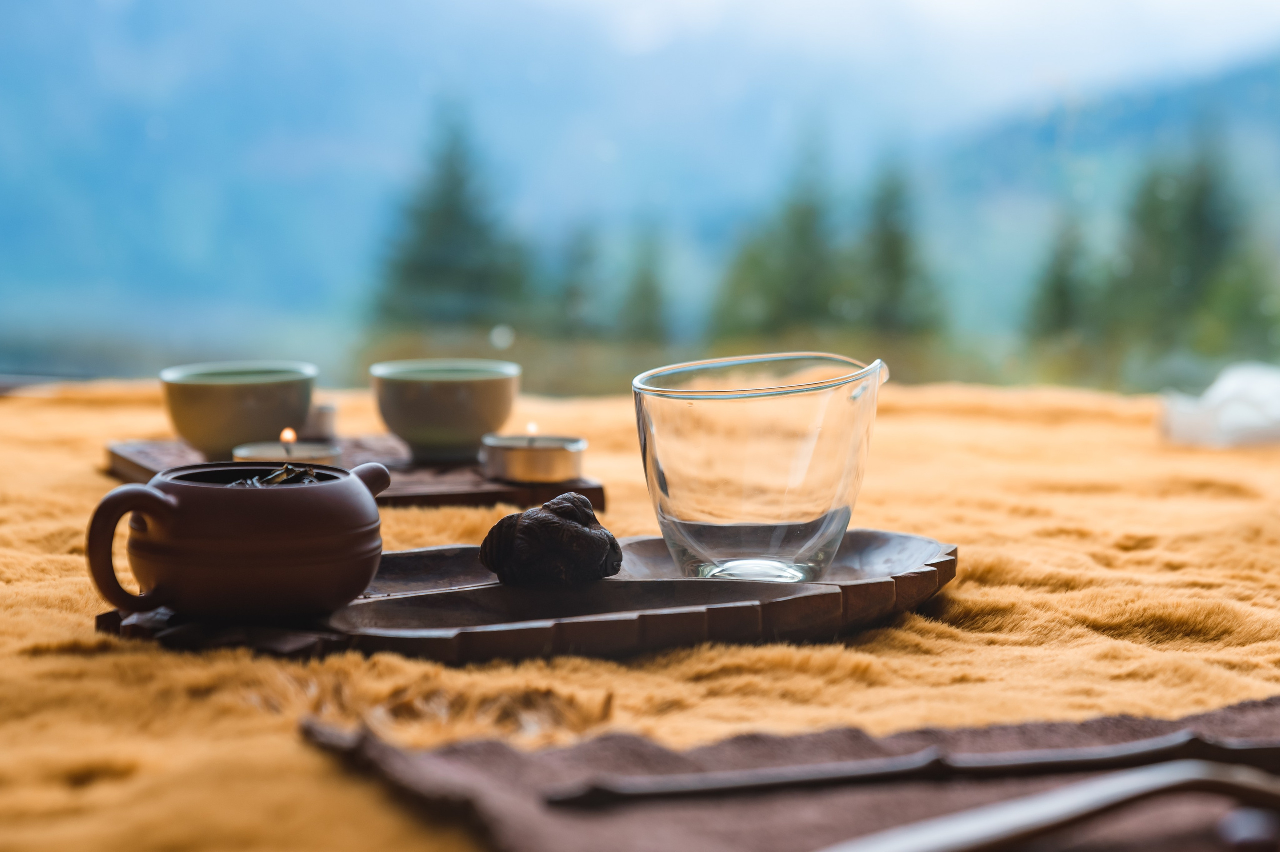 DAO Space. Ekaterina Verbitskaya. Photography