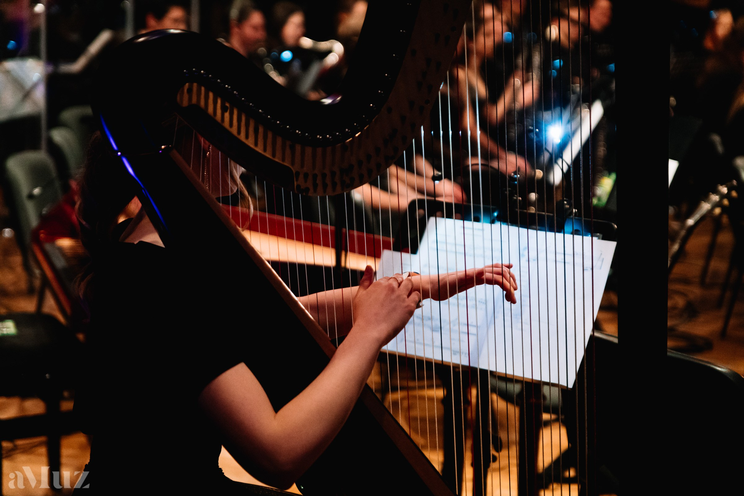 Koncert Muzyki Filmowej. Fotograf Ślubny Warszawa - Sesje Biznesowe Rodzinne Eventy