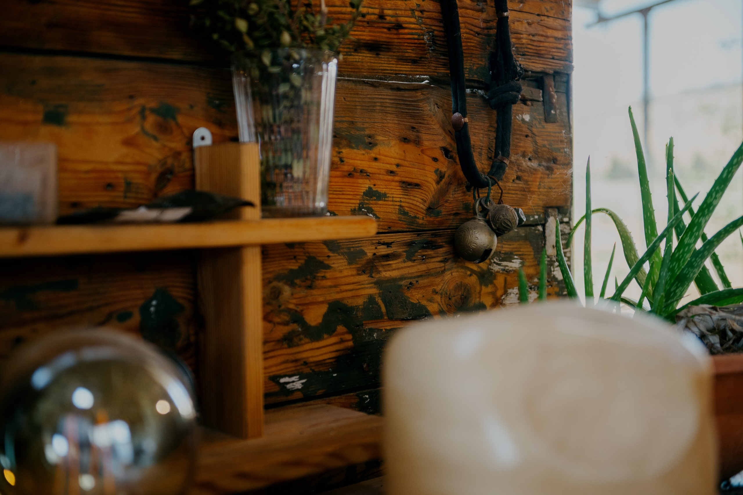 ZoZo. Portrait photografer in Montenegro