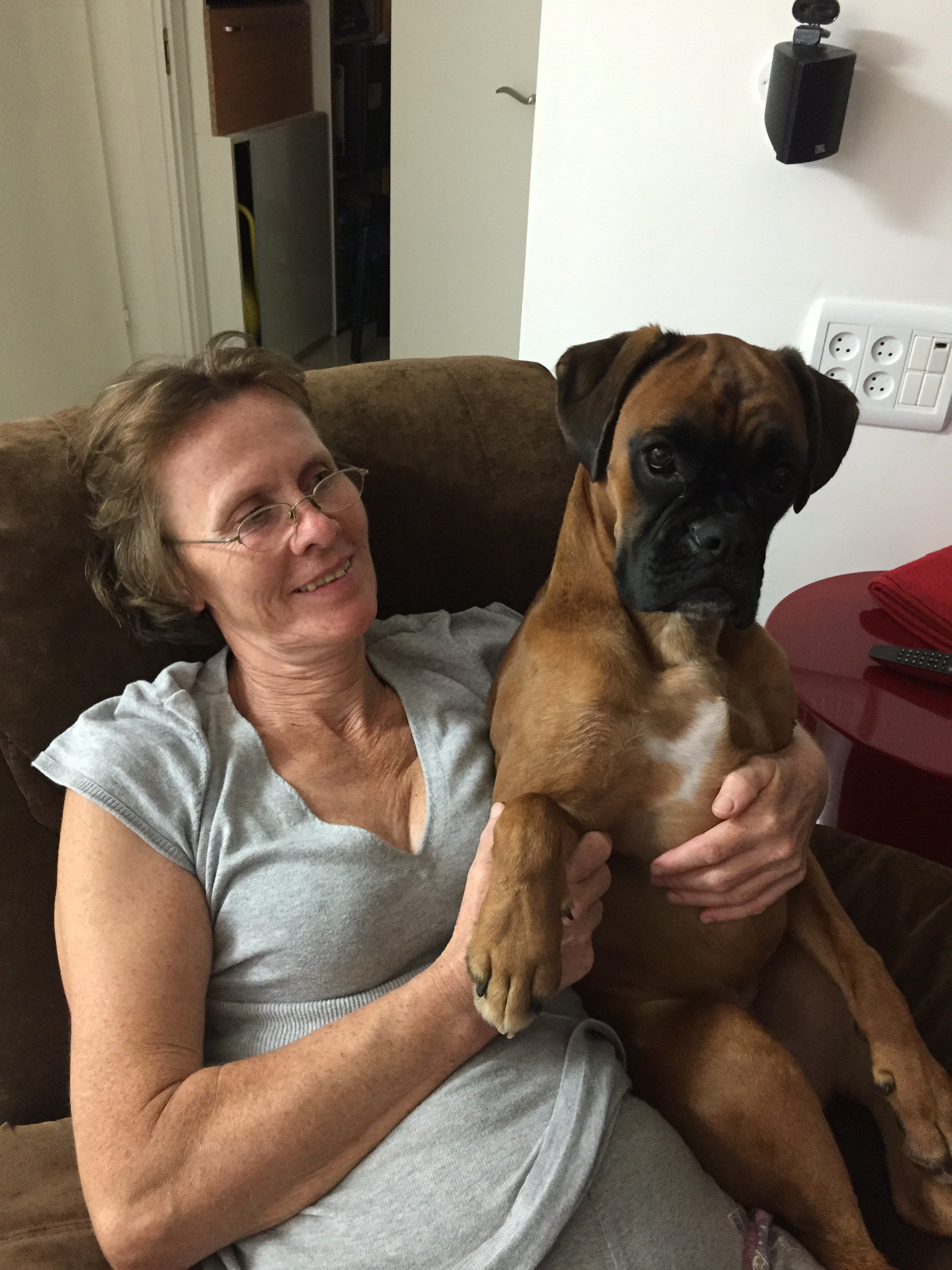 My ״Star״ Boxer Dog