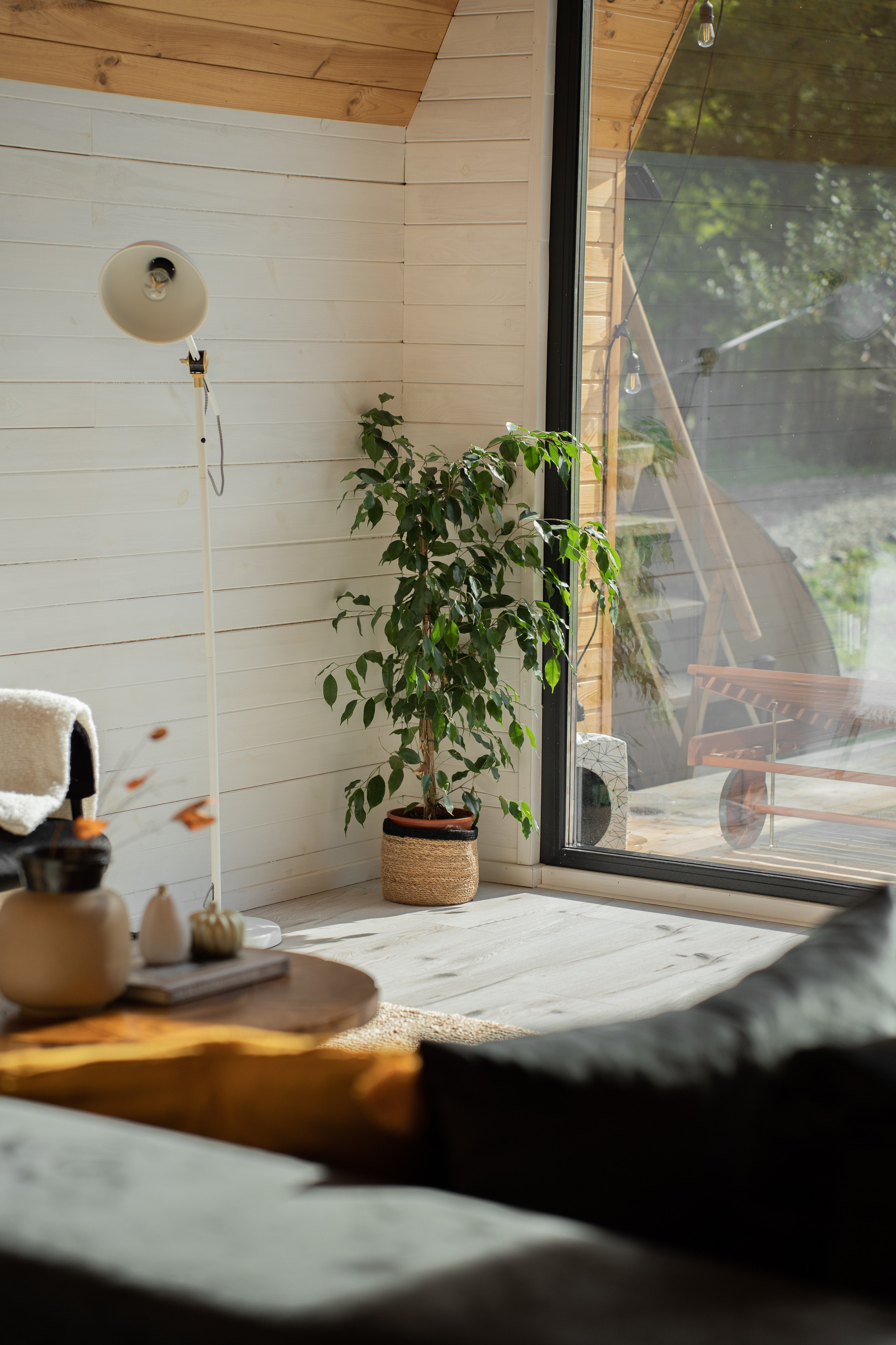 Airbnb. Patricia Morenci — Mountain Adventures for the Wild at Heart