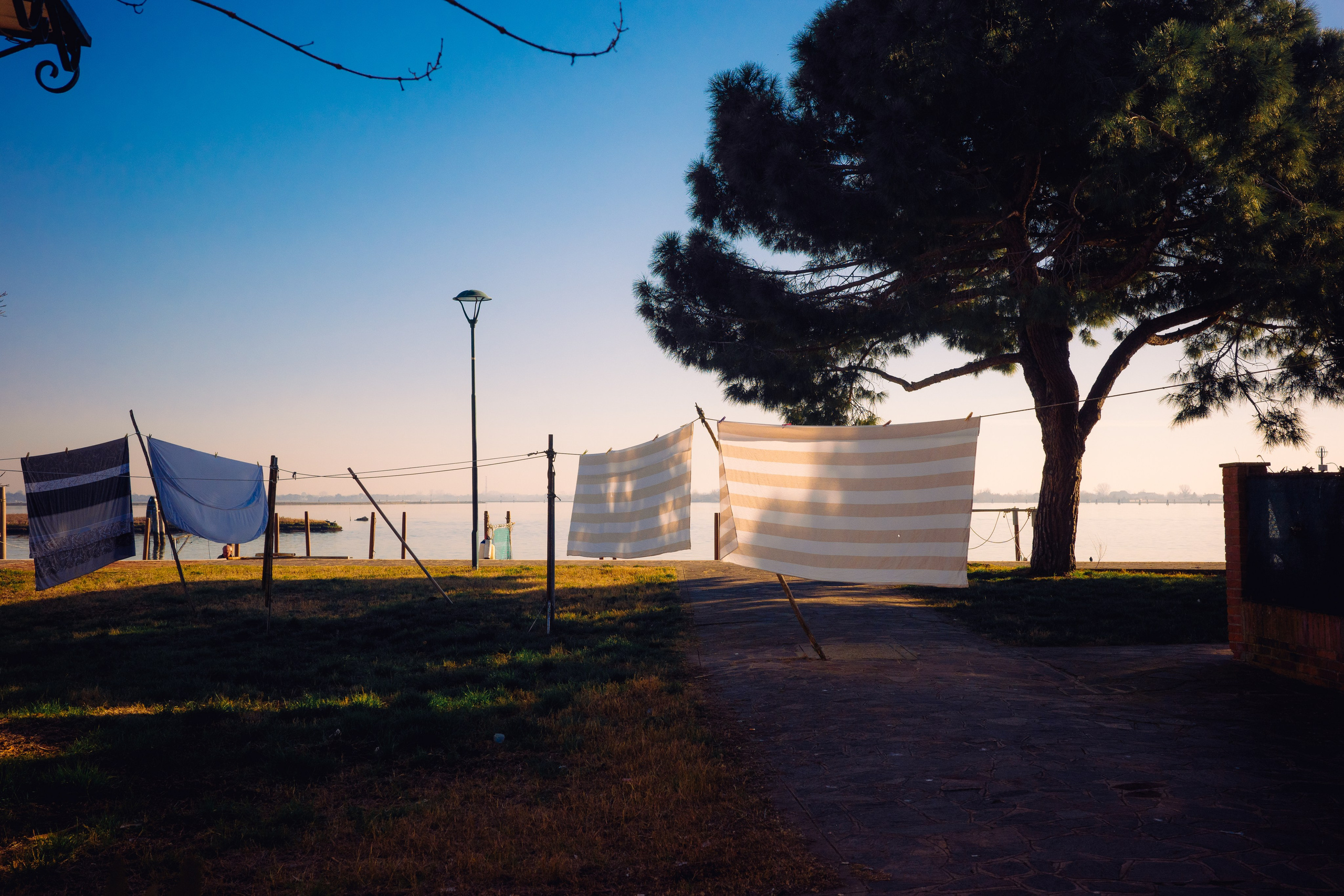 Работы Марии Шер. Sher.SCHOOL