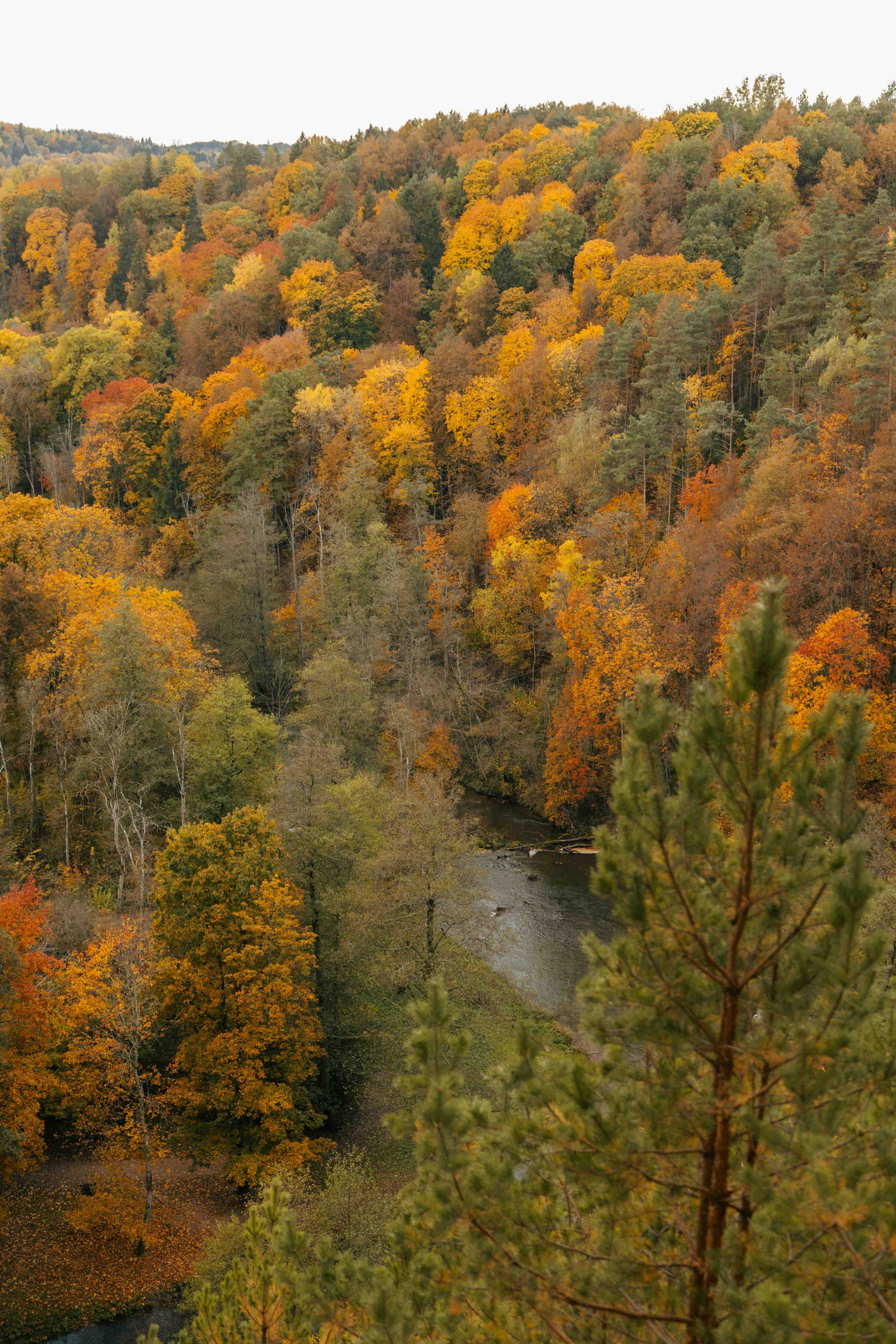 Best Autumn Photoshoot Locations in Vilnius: Top Spots to Capture the Fall Colors. Framed by Evelina | Destination Wedding Photographer from Lithuania | Europe