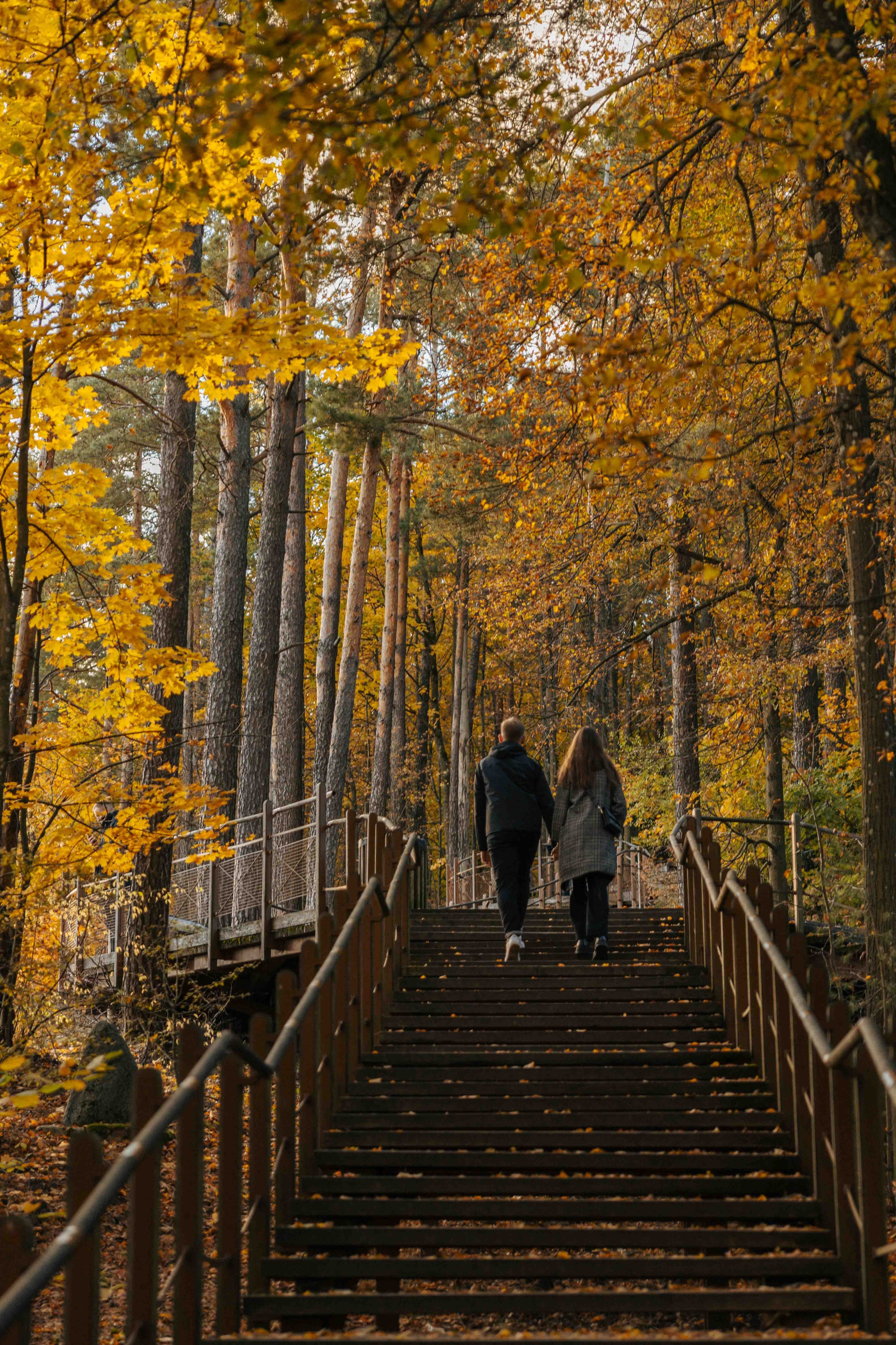 Best Autumn Photoshoot Locations in Vilnius: Top Spots to Capture the Fall Colors. Framed by Evelina | Destination Wedding Photographer from Lithuania | Europe