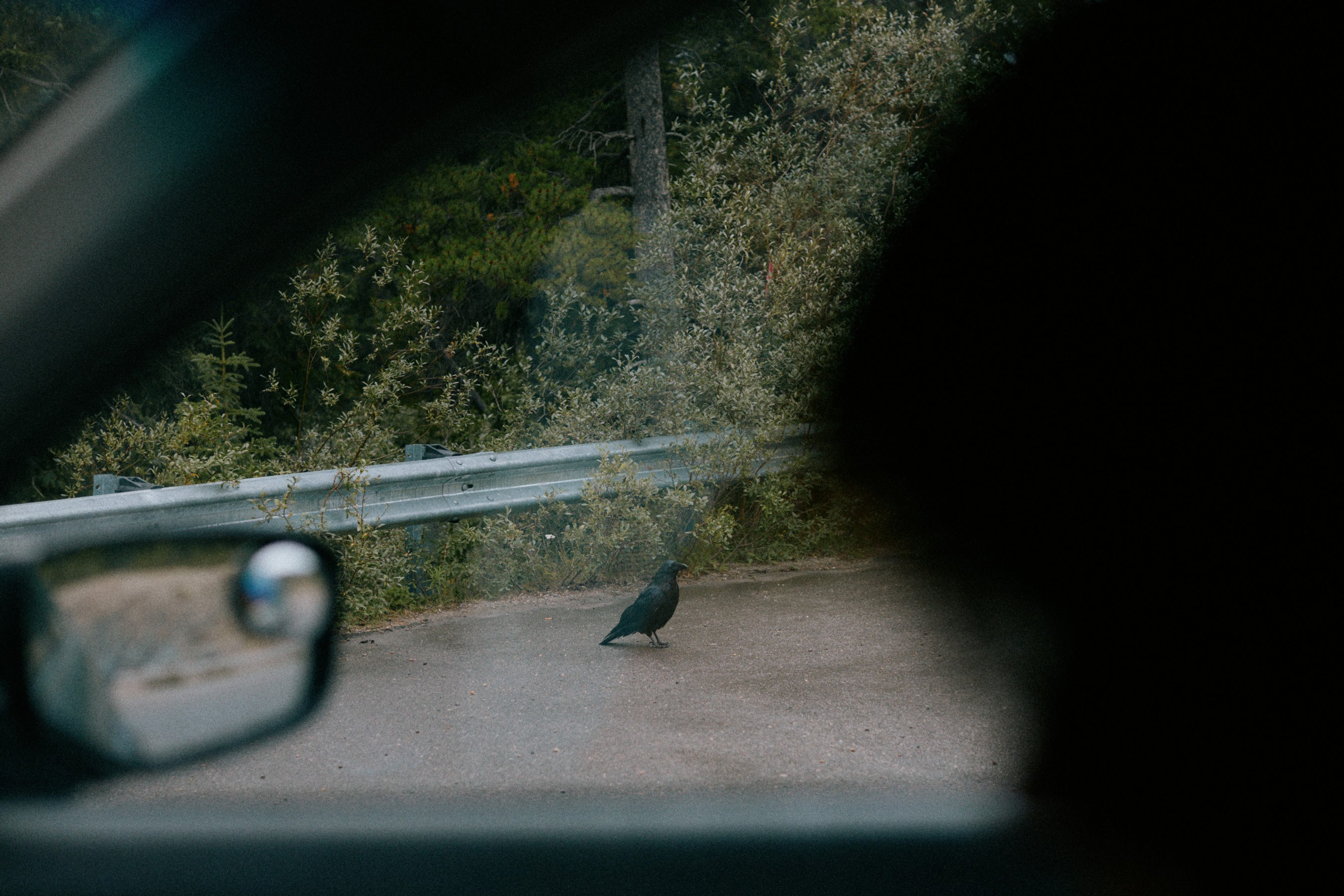 Calgary to Jasper road trip. Location131 | Vancouver Photographer for Fashion, Portraits, Events and More Across Canada| YVR — Vlad Li