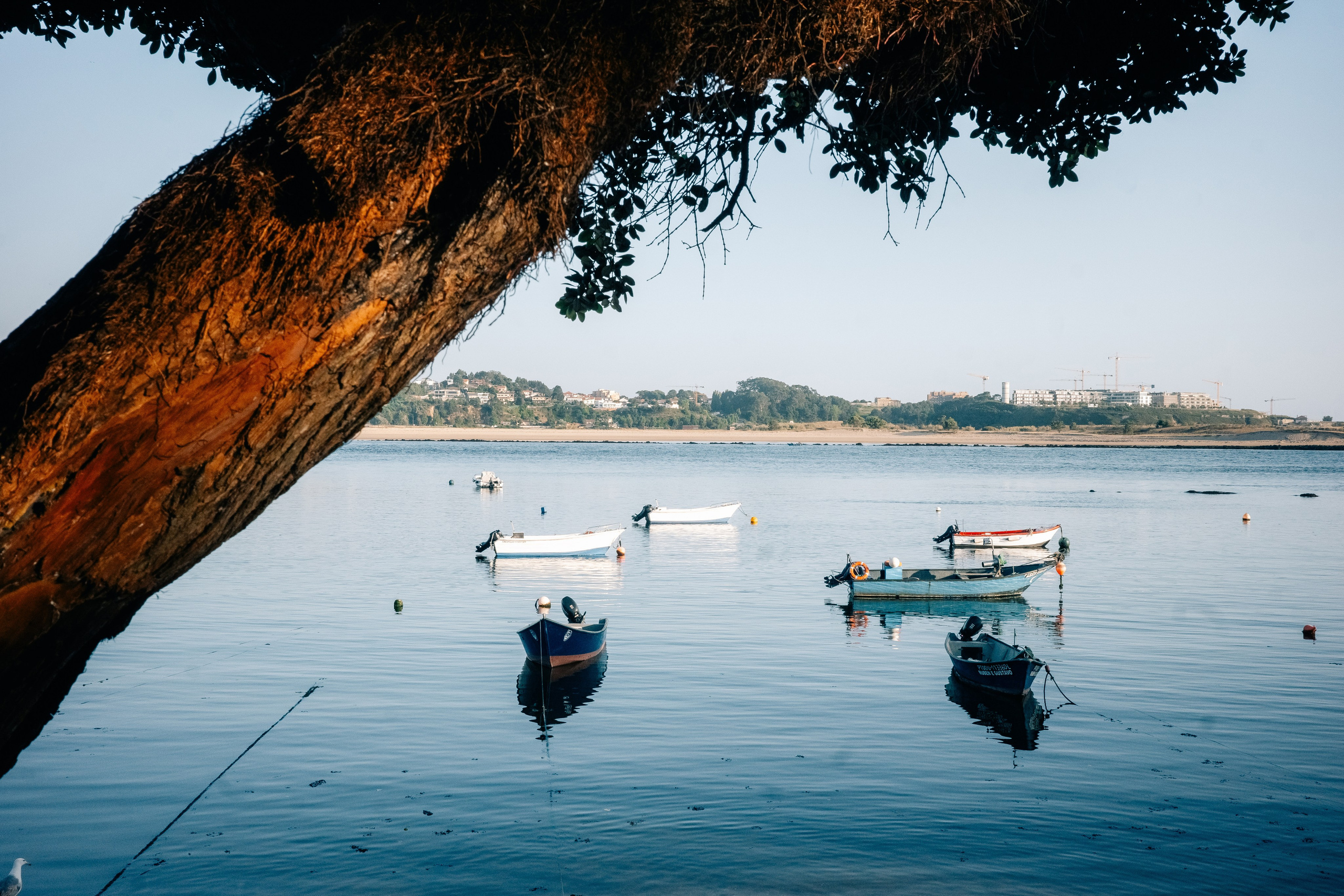 Работы Марии Шер. Sher.SCHOOL