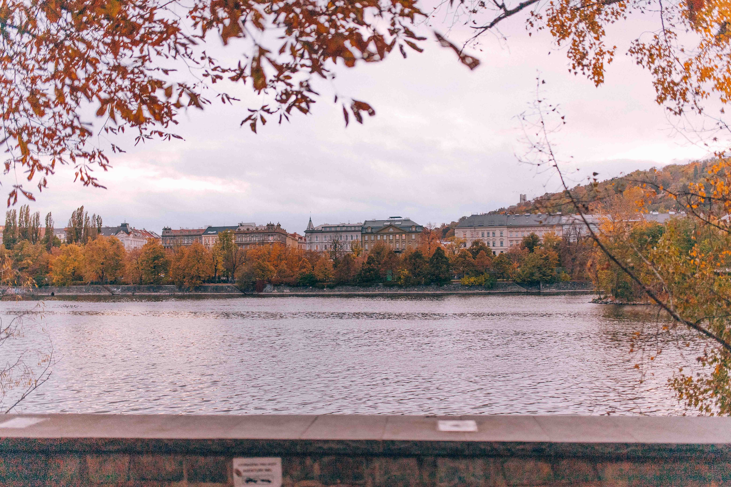 ZOFIN PALACE (PRAGUE). Wedding&Event photographer Ismail Rzayev in Baku