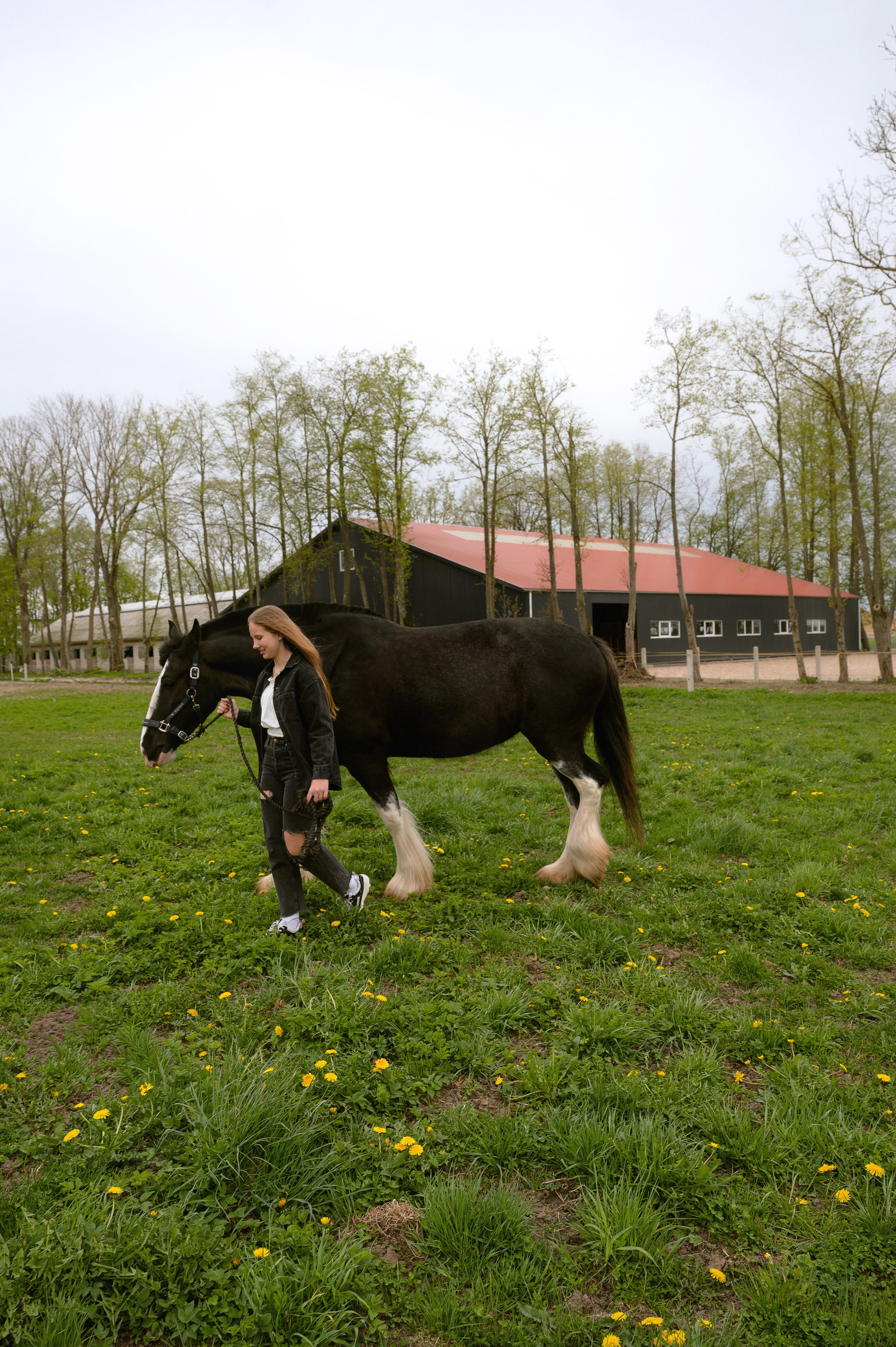 Emilijos gimtadienio fotosesija žirgyne. Vestuvių, šeimos švenčių, renginių fotografė