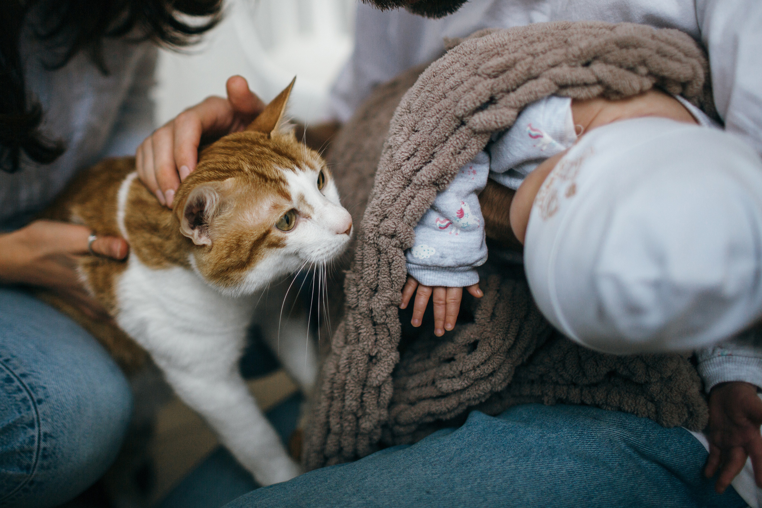 Sweet home / Ayala 3 month. Family photographer in Israel