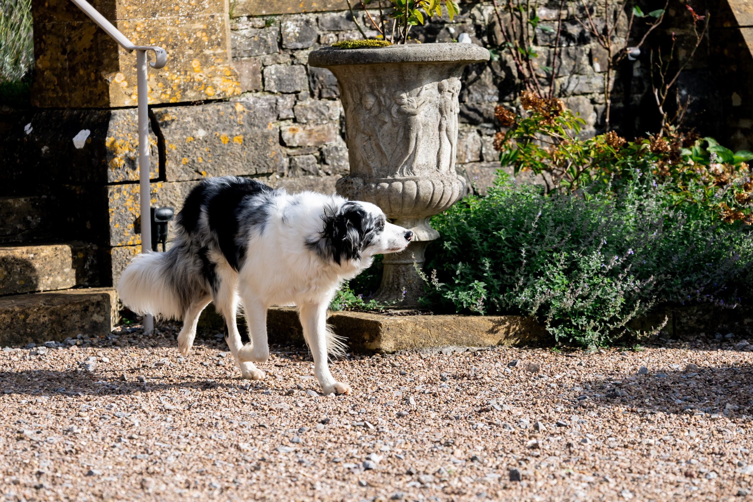 BobFest'23 in 2 days — TRUE LEGEND. September, 2023. Timeless Wedding & Event Photography from London to the world