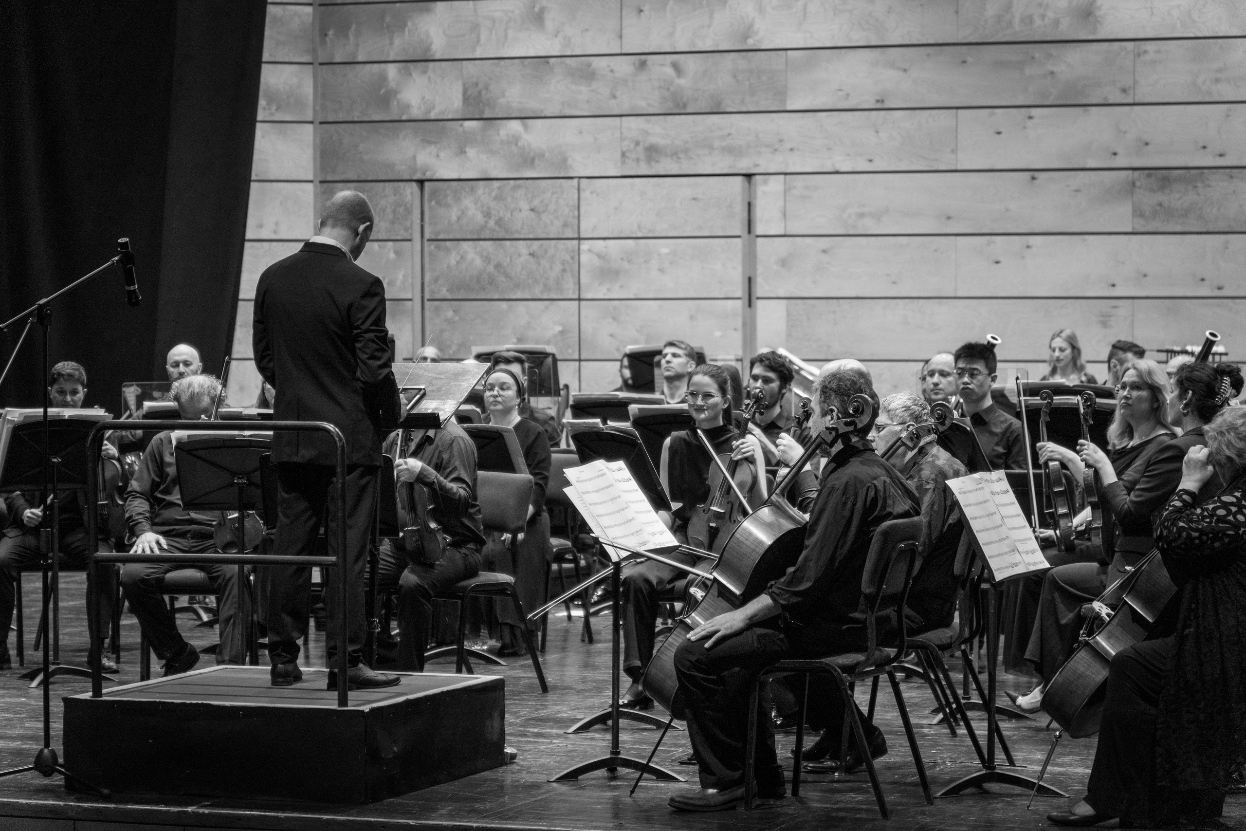 Symphony Haifa 2024. Главное меню