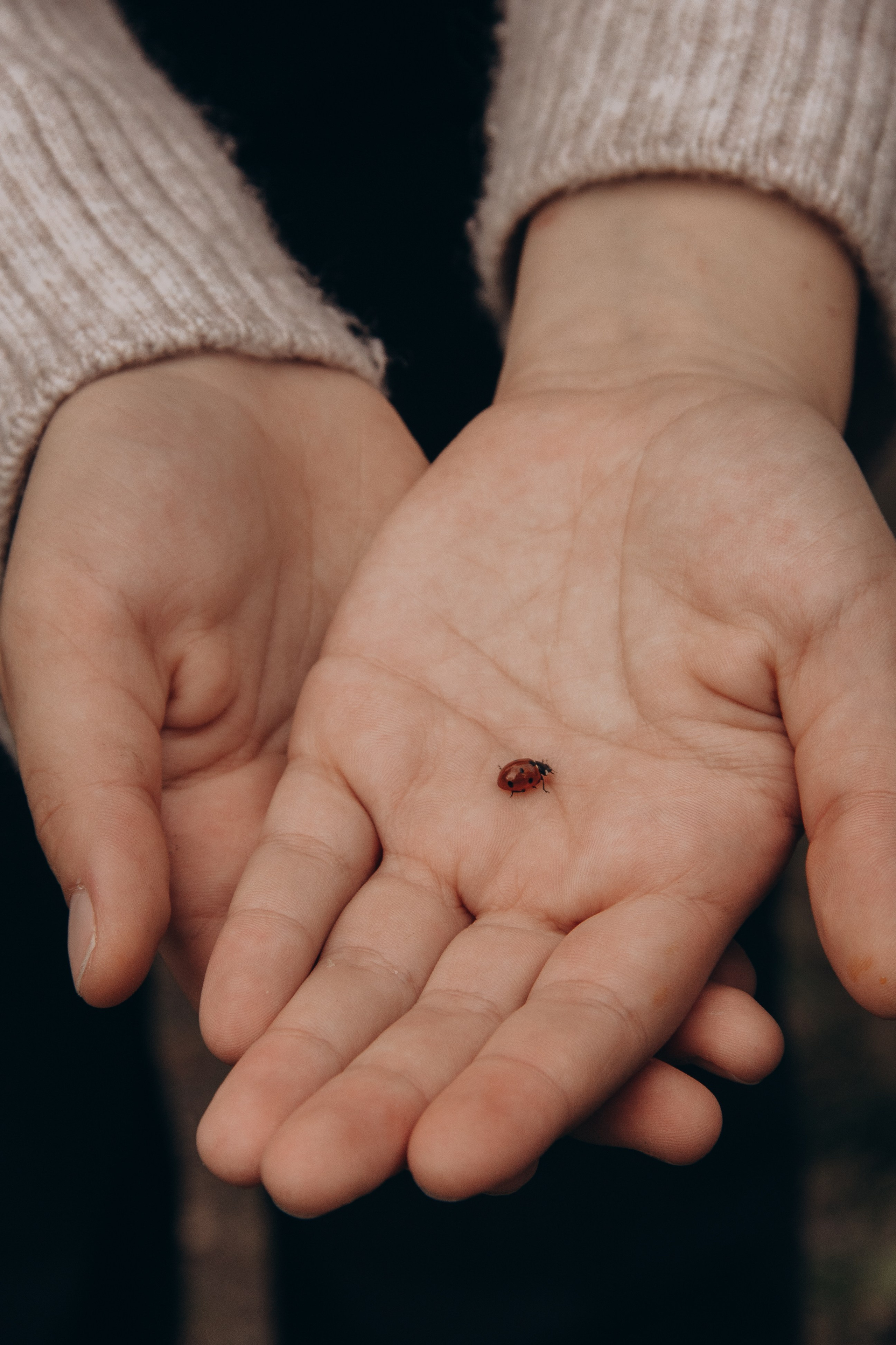 Familien. Achtsame Fotografin| Margarita Mayer