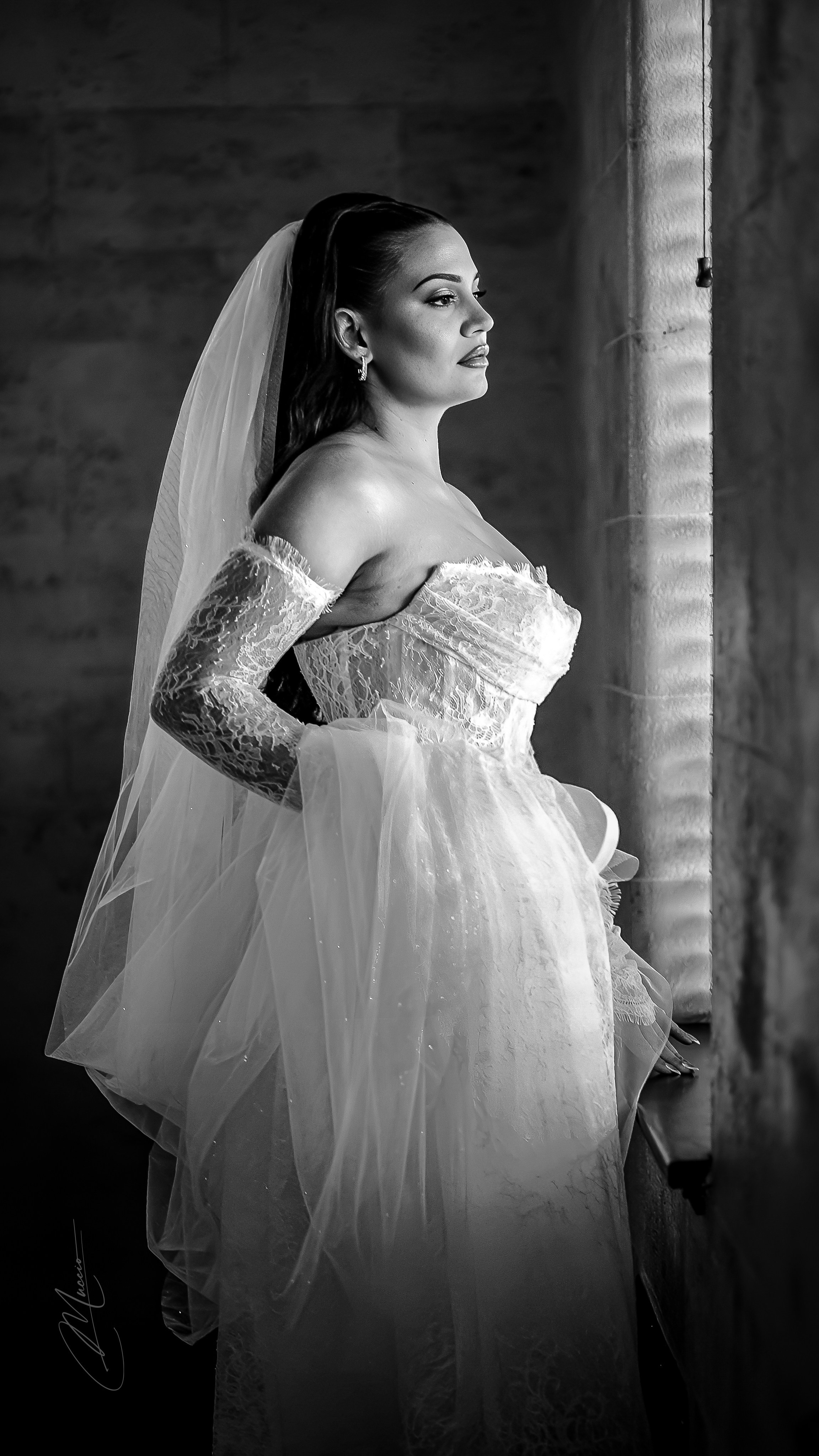 Brooke and Zach Wedding Photography. Out and About 239