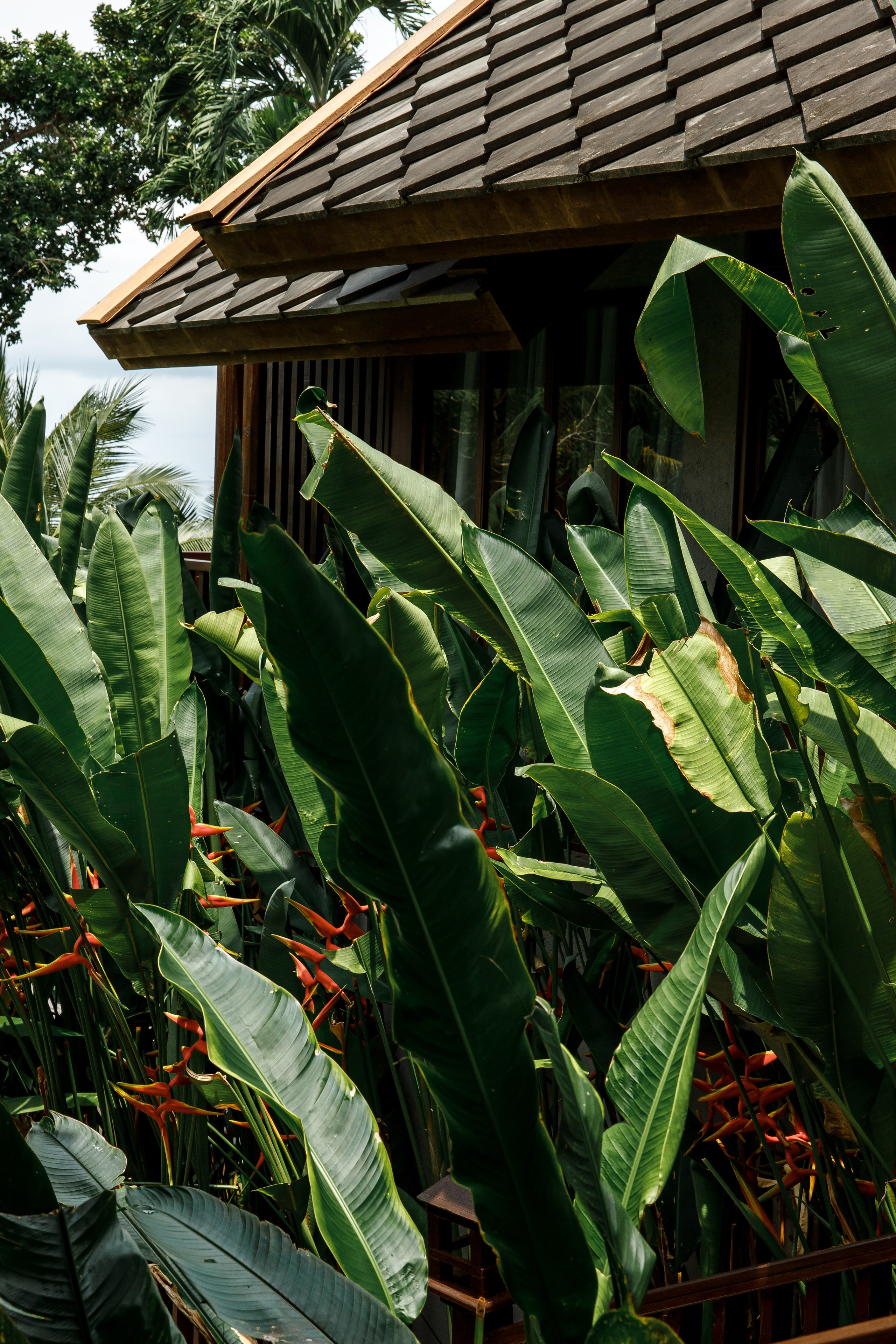 Destination Wedding at Paradee Resort Koh Samet — Dom & Vicky