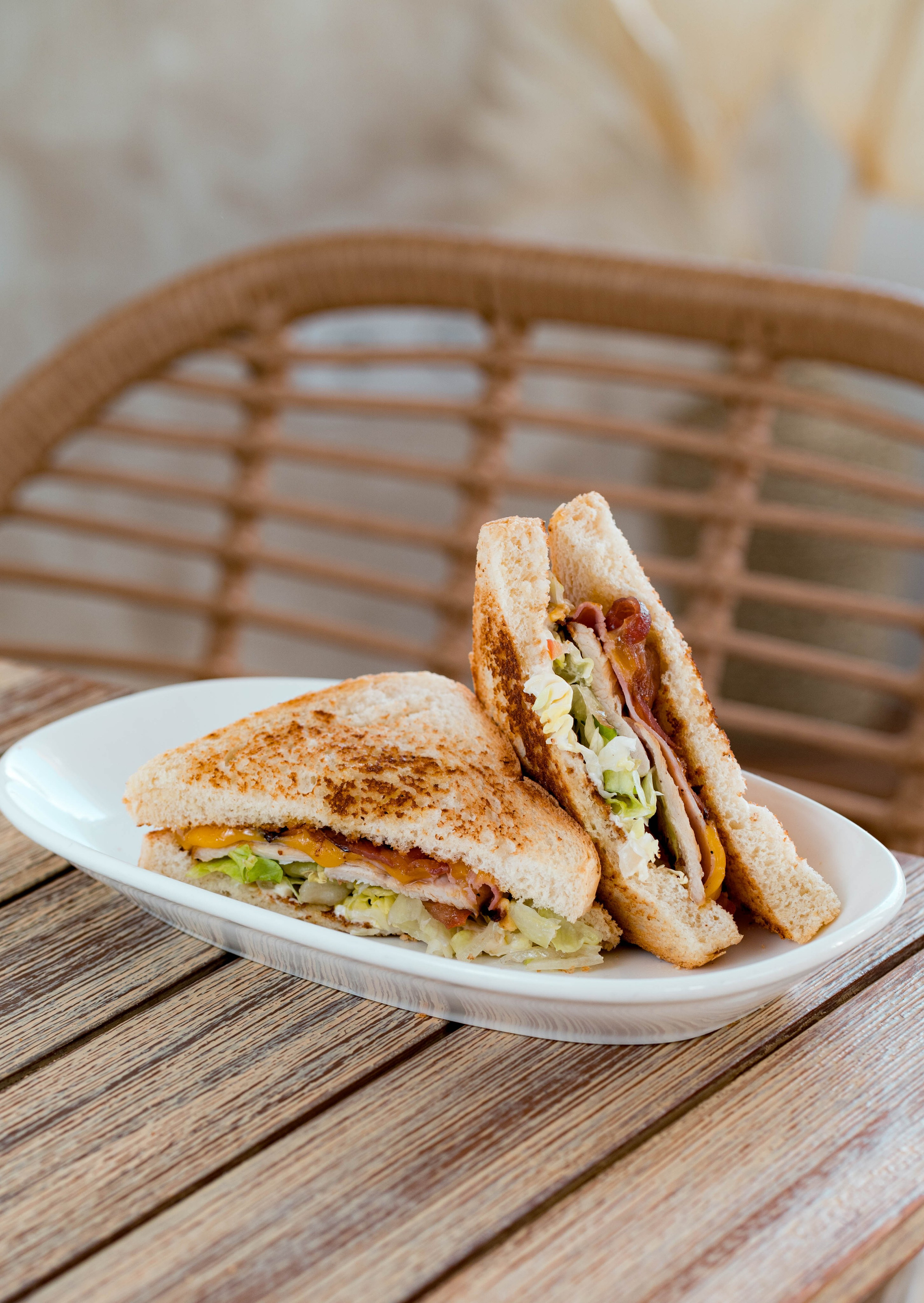 LA TERRACICA. Baby Beast