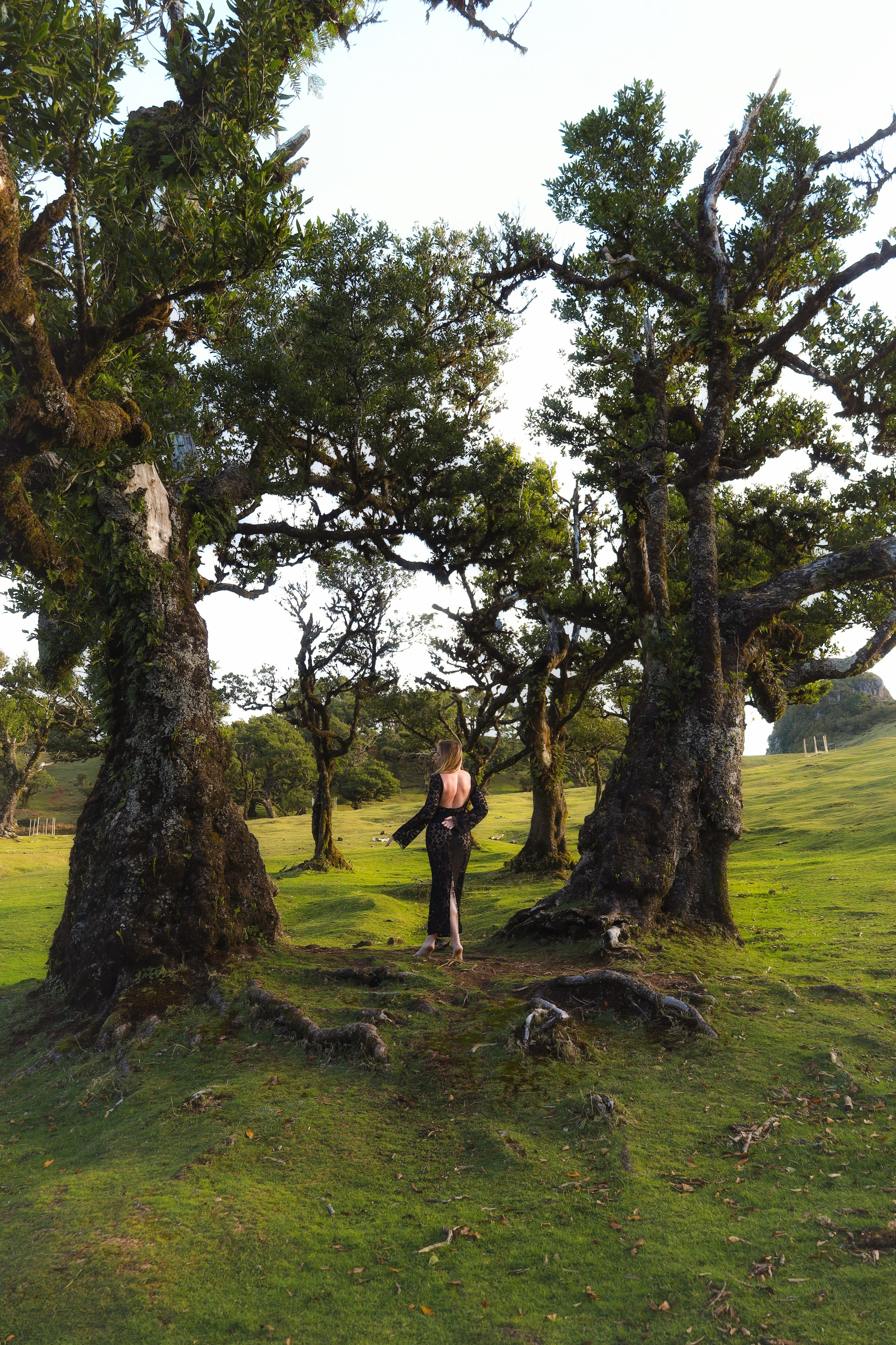 Lilia. Emiliia Kotruch PHOTOGRAPHER