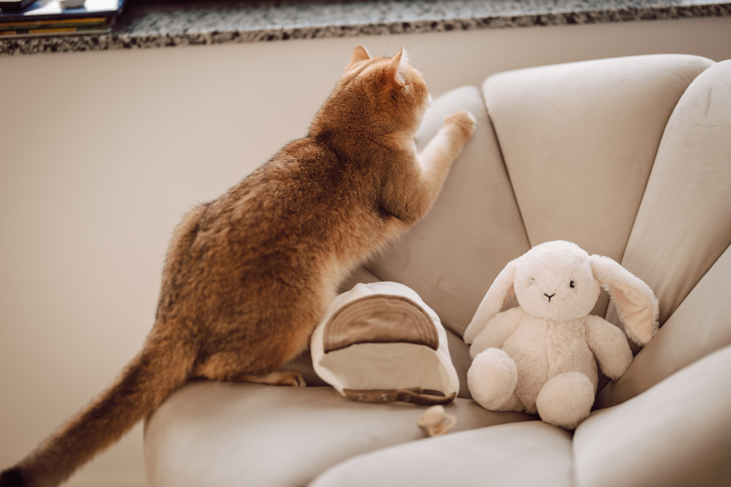 Selim. The Catalins Events — Wedding Photography & Videography