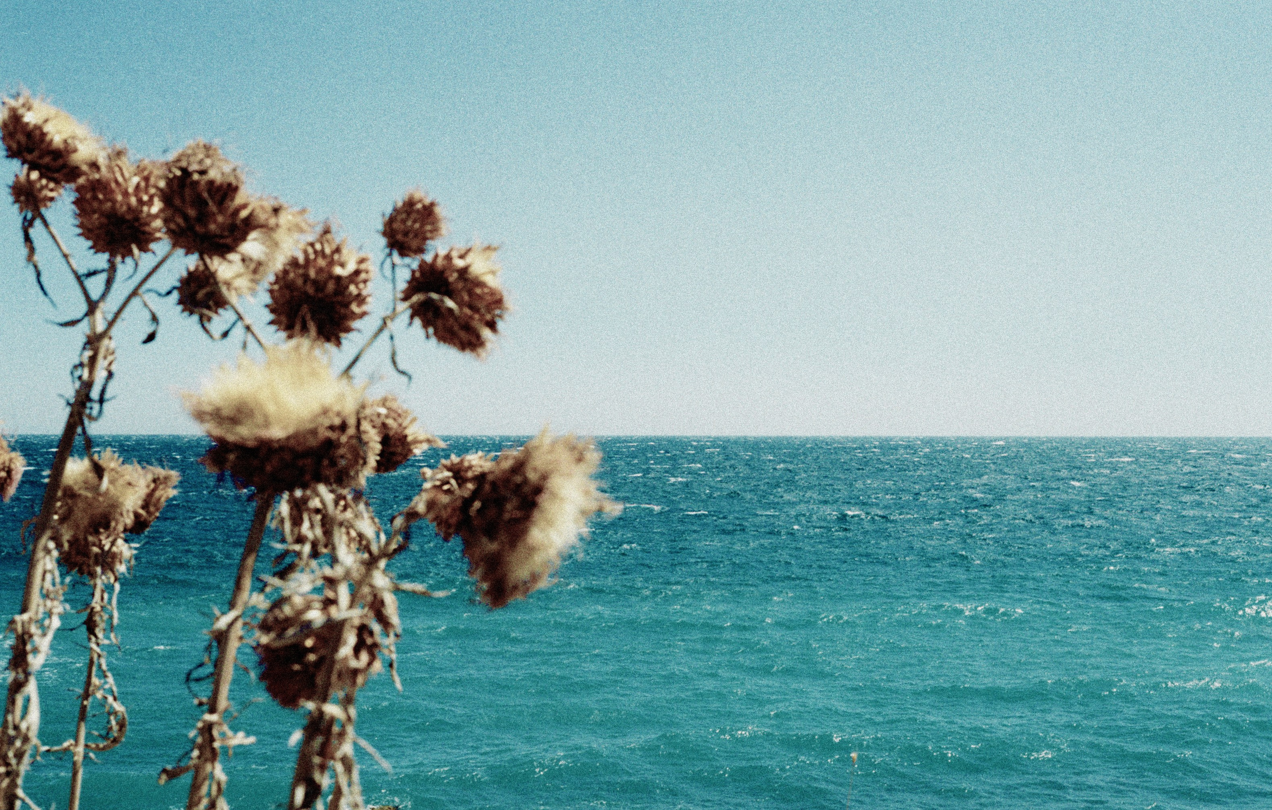 Wanderlust. Personal and fashion photography for brands and modeling agencies. Warsaw, Europe. Yaroslav Storchak