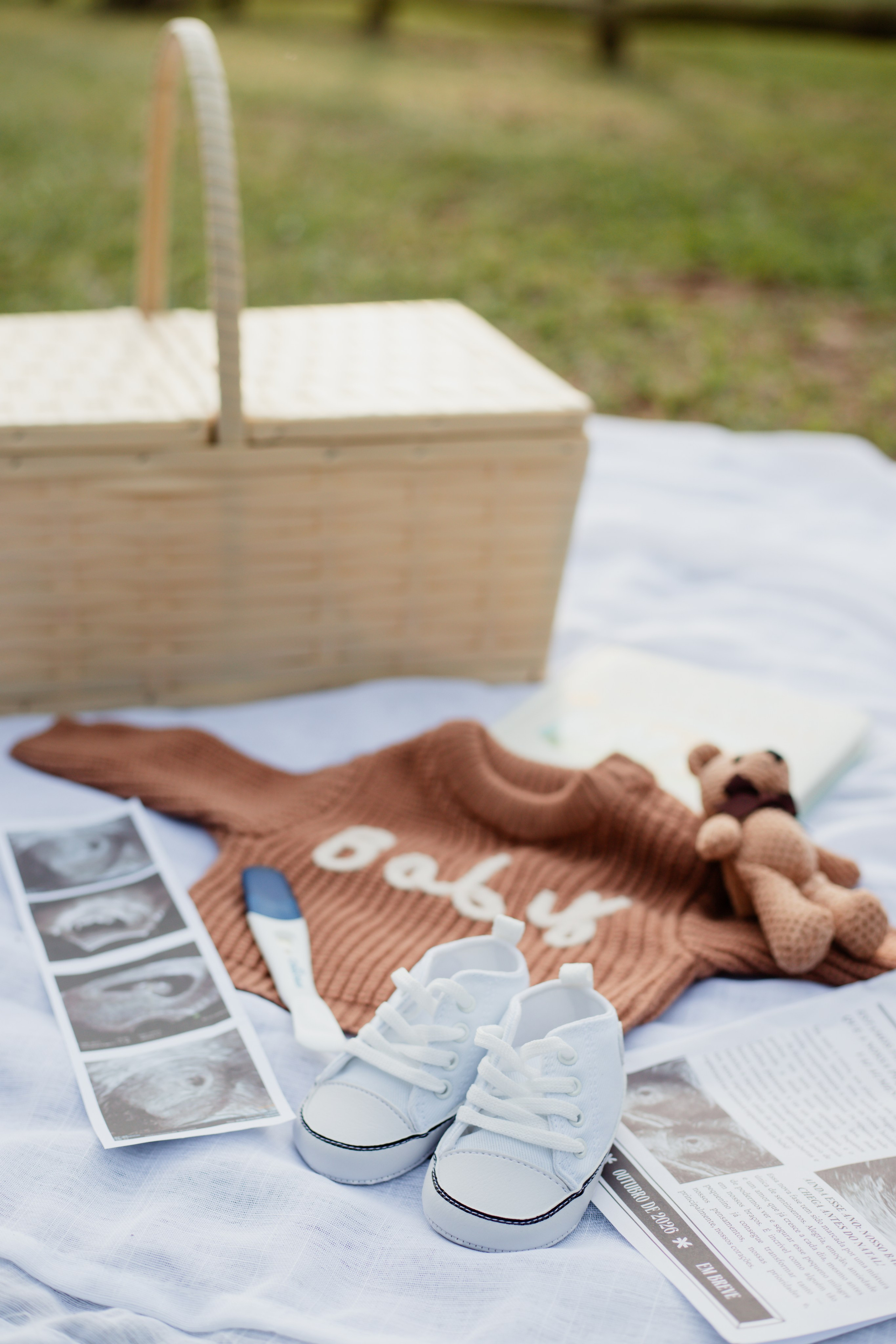 Pamela e Gabriel. Joyce Maria Fotografia | Fotógrafa em Holambra