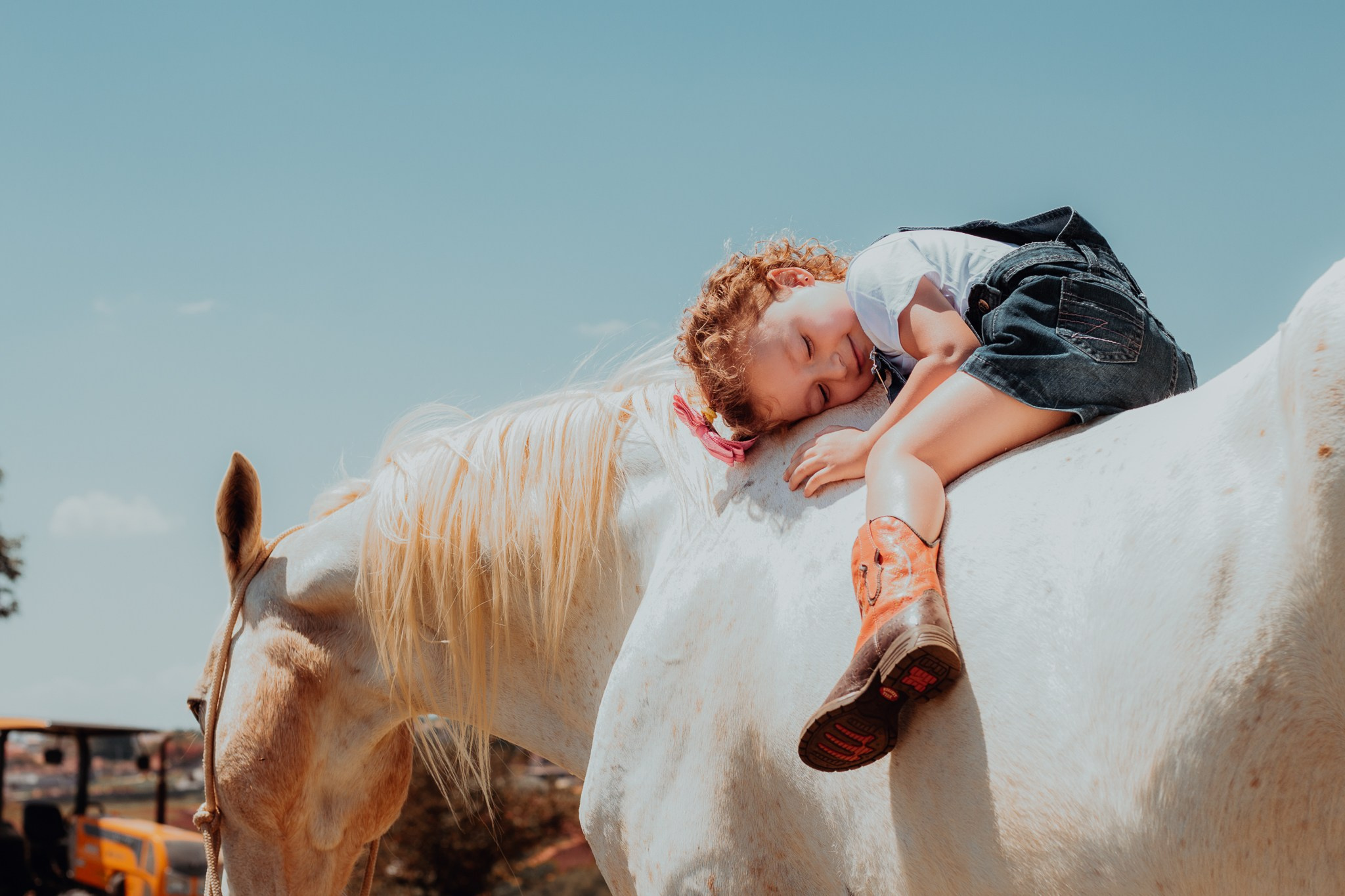 Joyce Maria Fotografia | Fotógrafa em Holambra