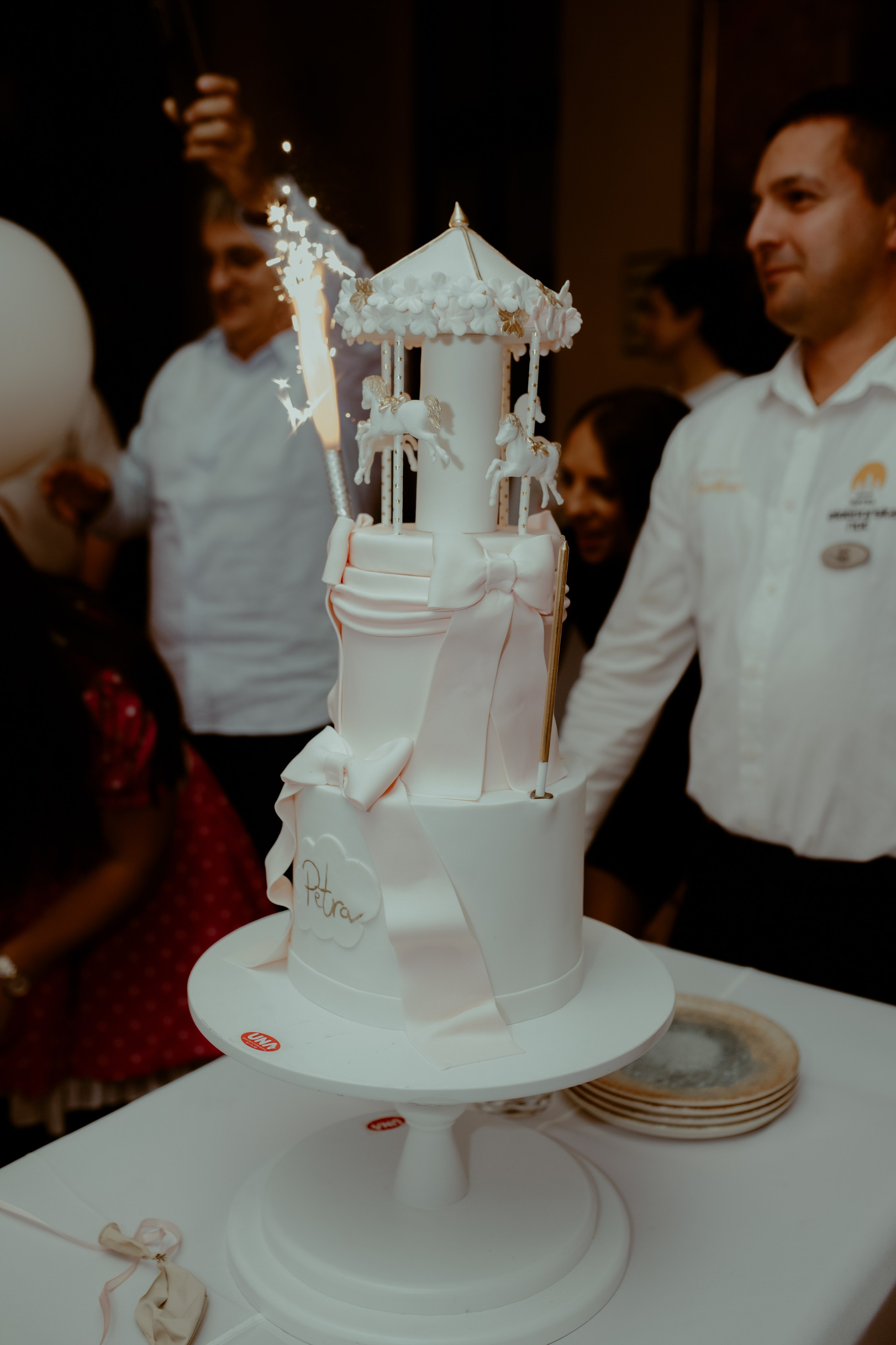 Prvi rođendan. Wedding & Family photographer Jelena Anđelić