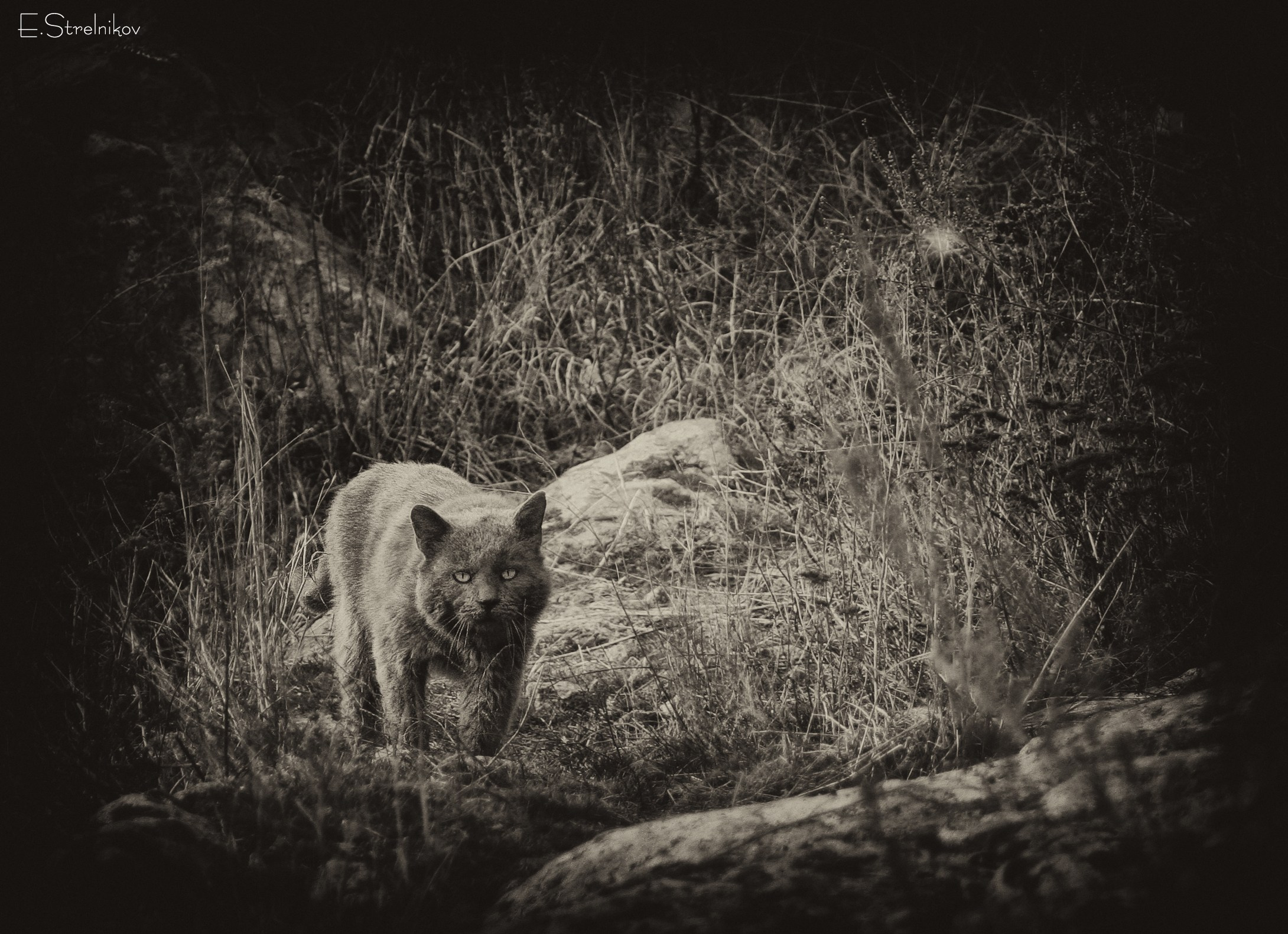 Природа Южноукраинск