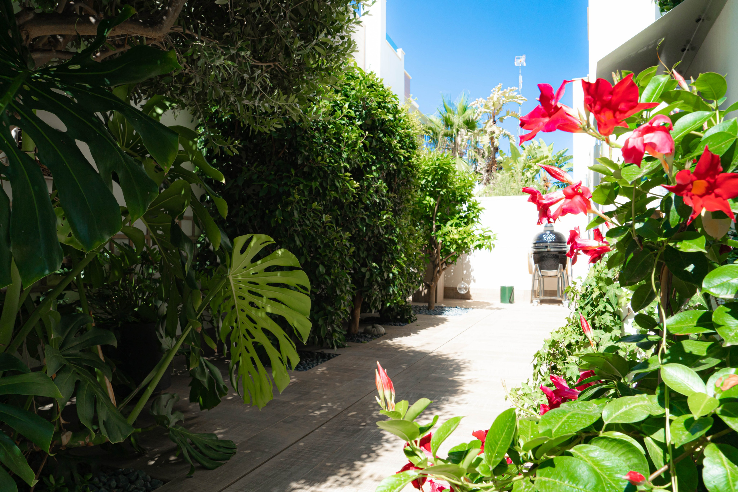 I&M GROUP. Baby Beast