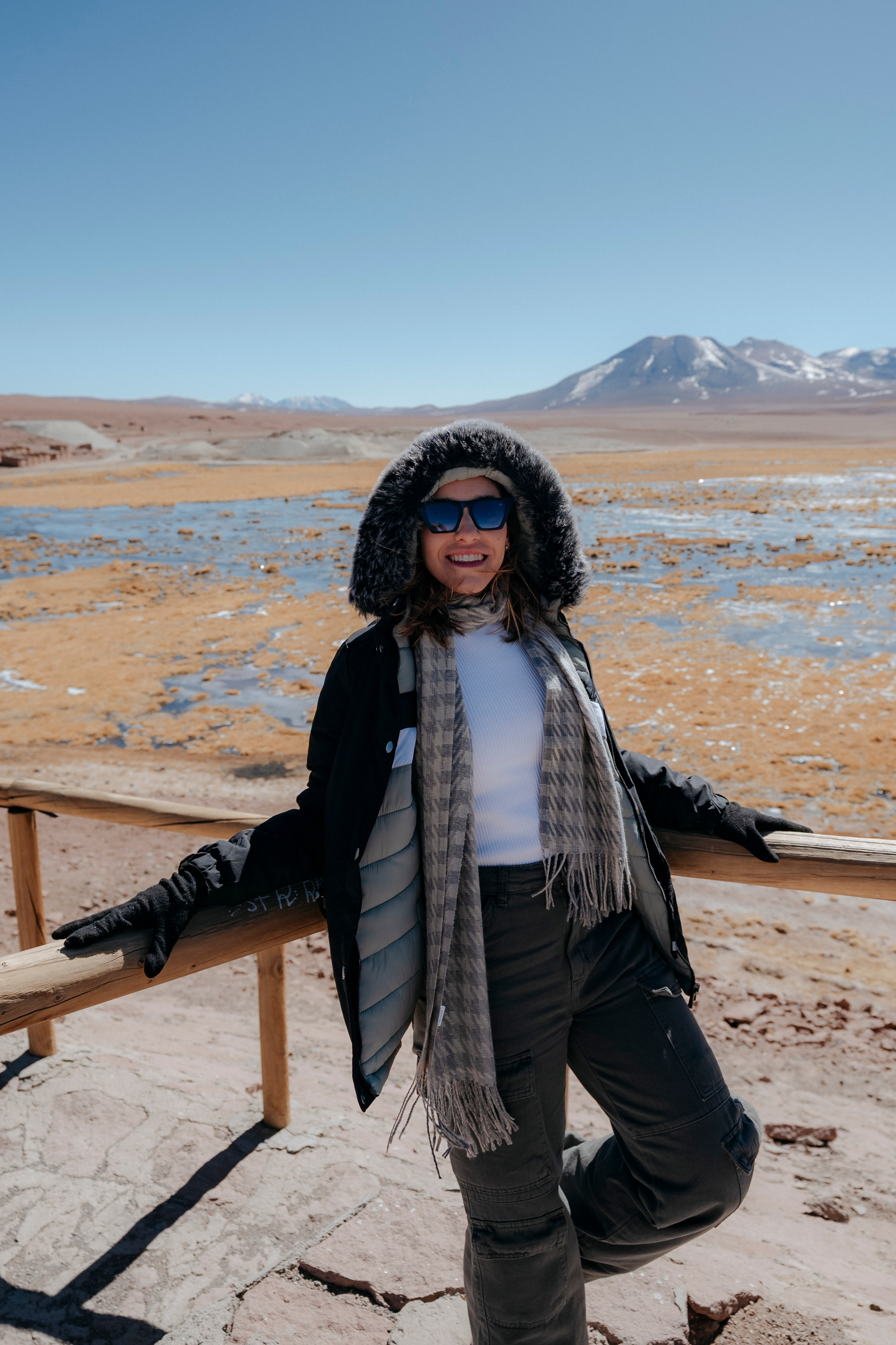 Geyser El Tatio (cobertura en tour privado). Principal