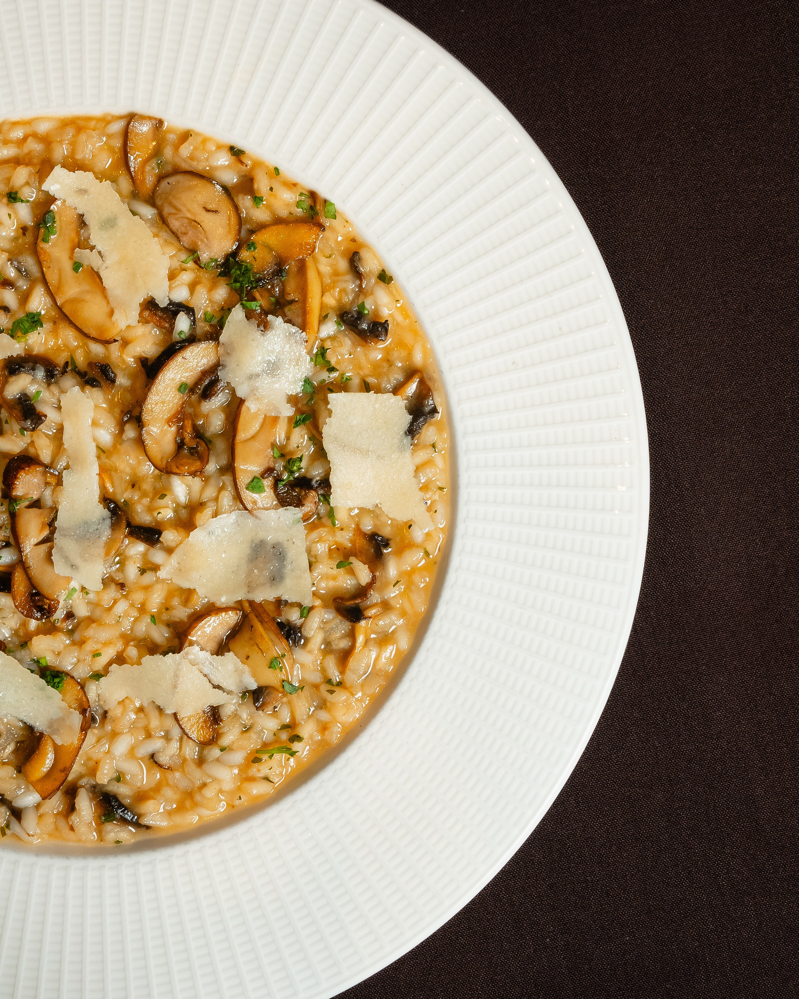 Luna. Welcome to my video and photo world!