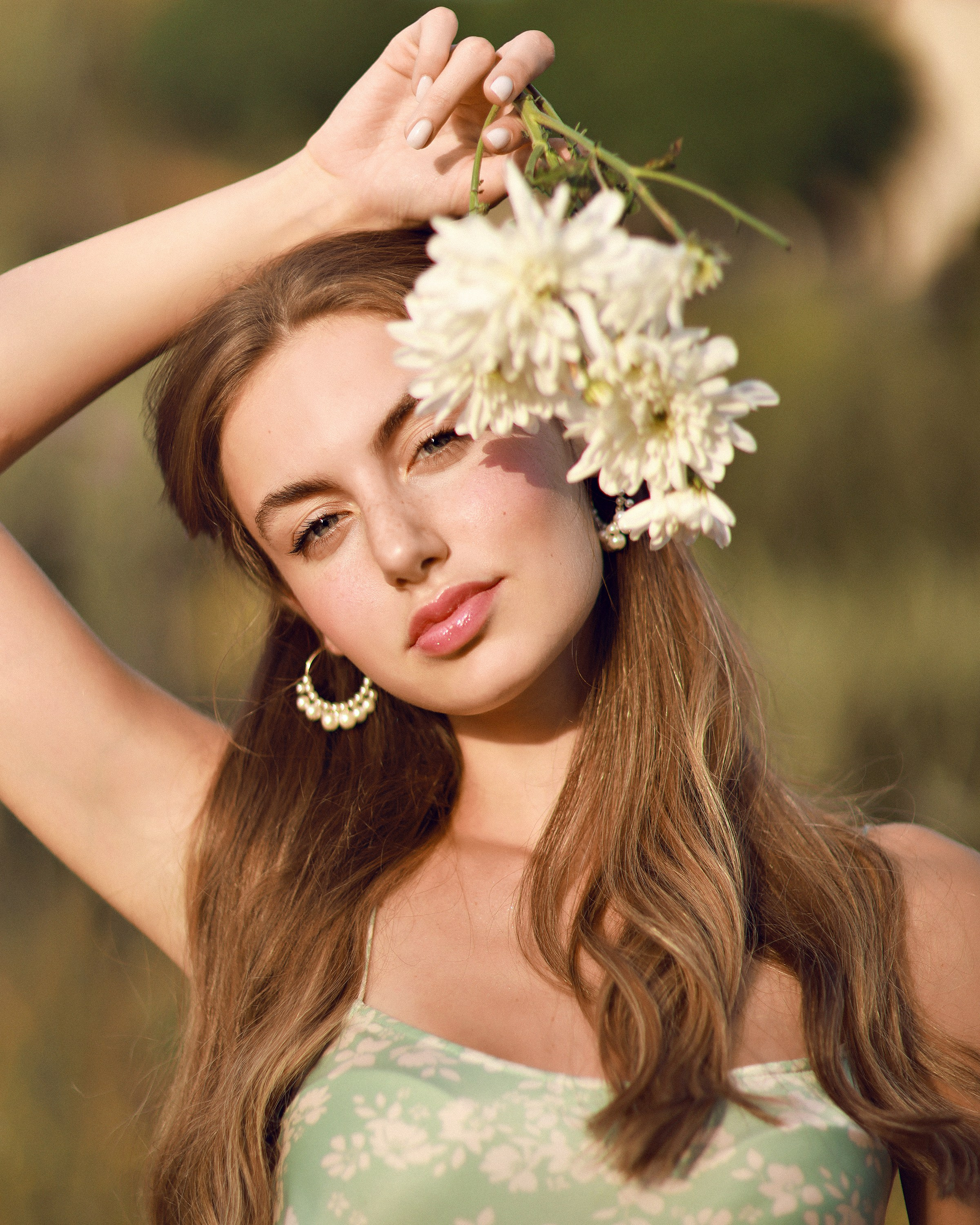 Diana Olive Tree. Dana