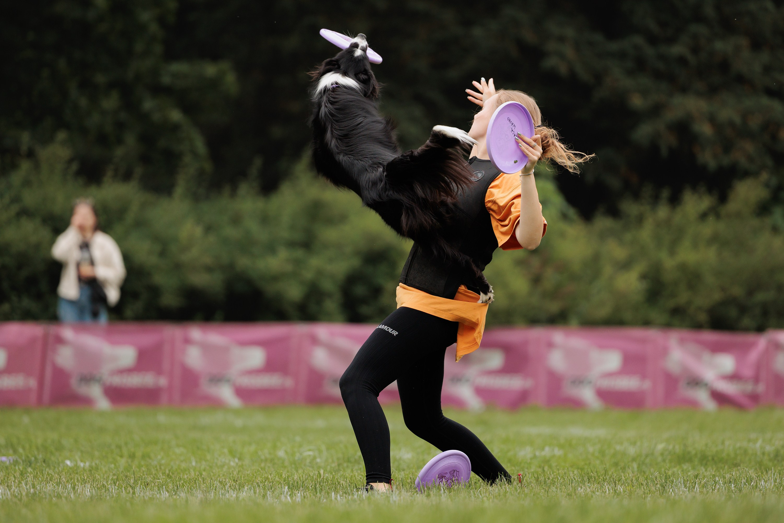 Latające psy, Wrocław'25. Kaja | fotograf psów we Wrocławiu