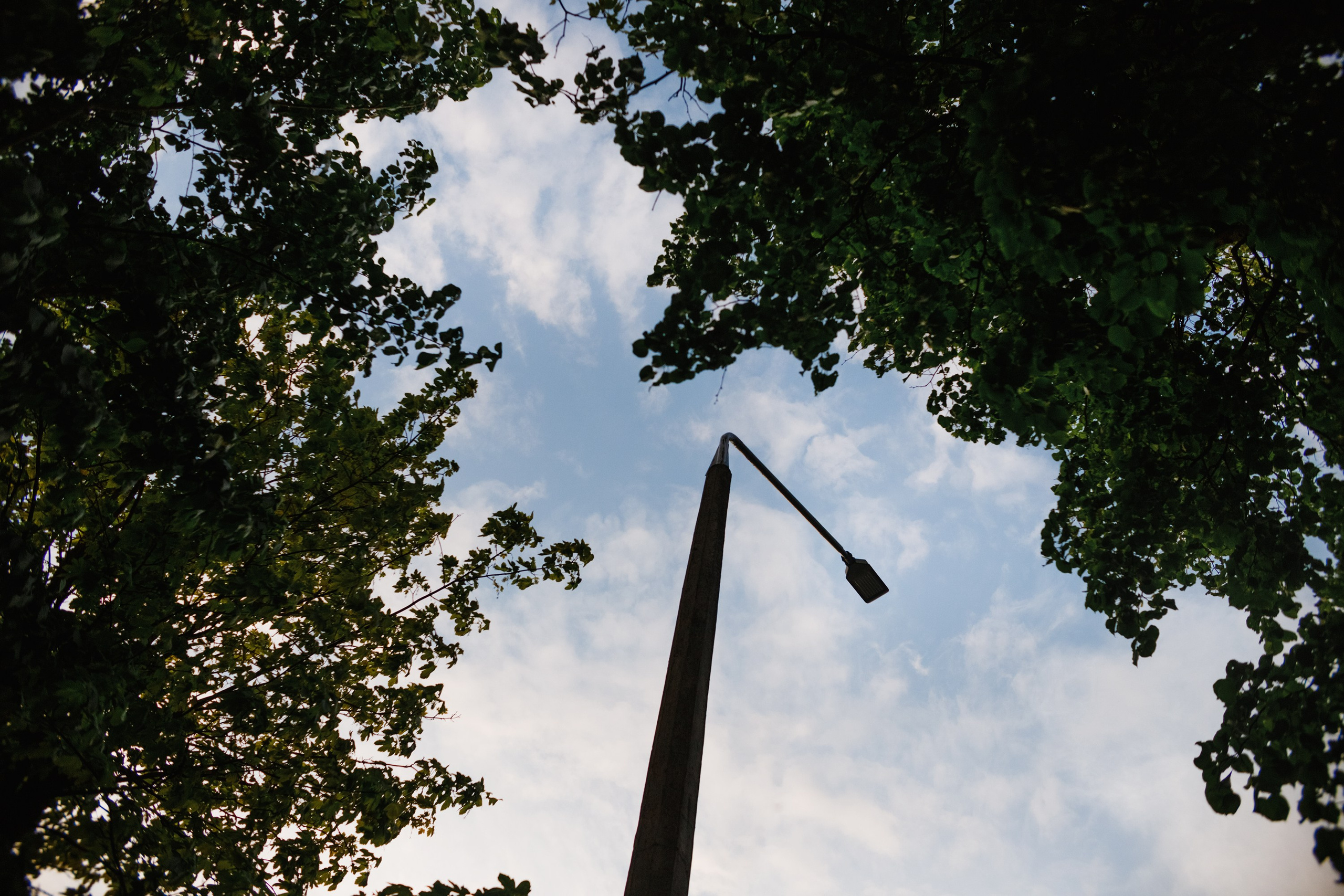 Grodno. Kaja | fotograf we Wrocławiu | ludzie i psy