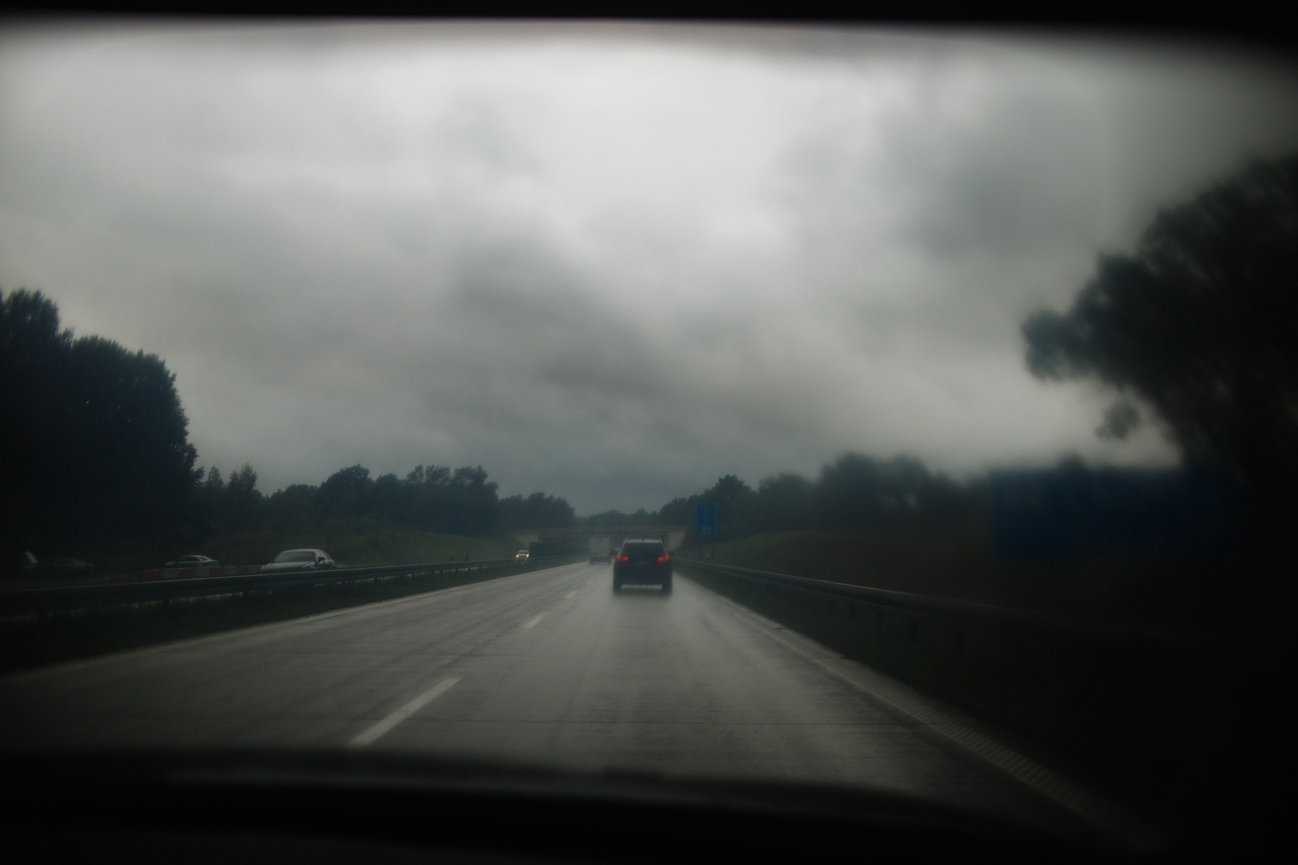 Zamek Grodziec. Kaja | fotograf psów we Wrocławiu