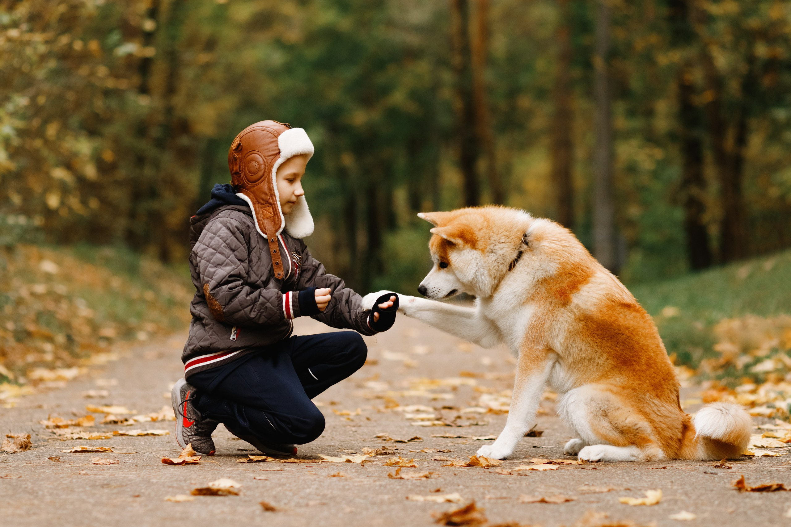 Maria & Kenji. Kaja | fotograf we Wrocławiu | ludzie i psy