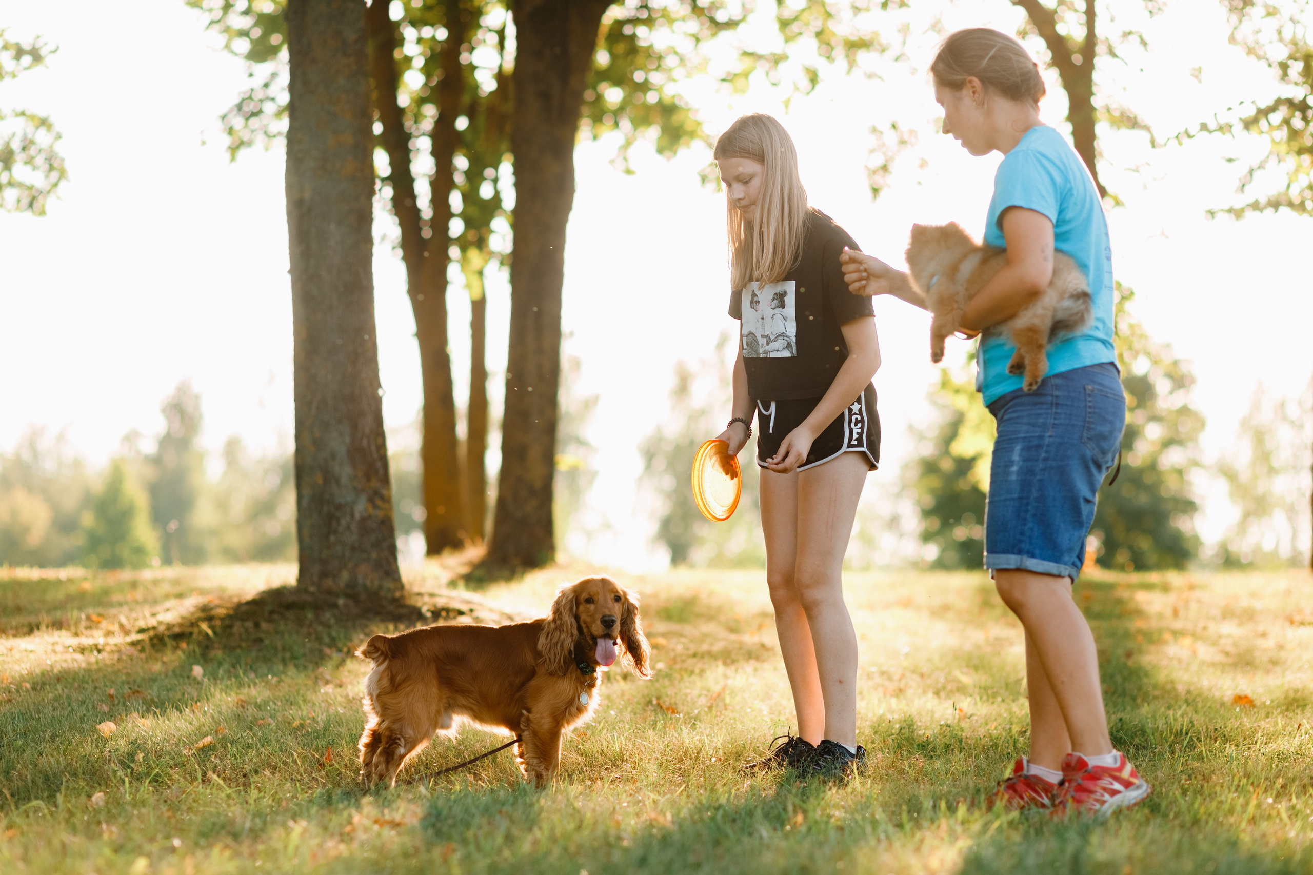 Frisbee workshop of Darya Lukina. Kaja | fotograf we Wrocławiu | ludzie i psy