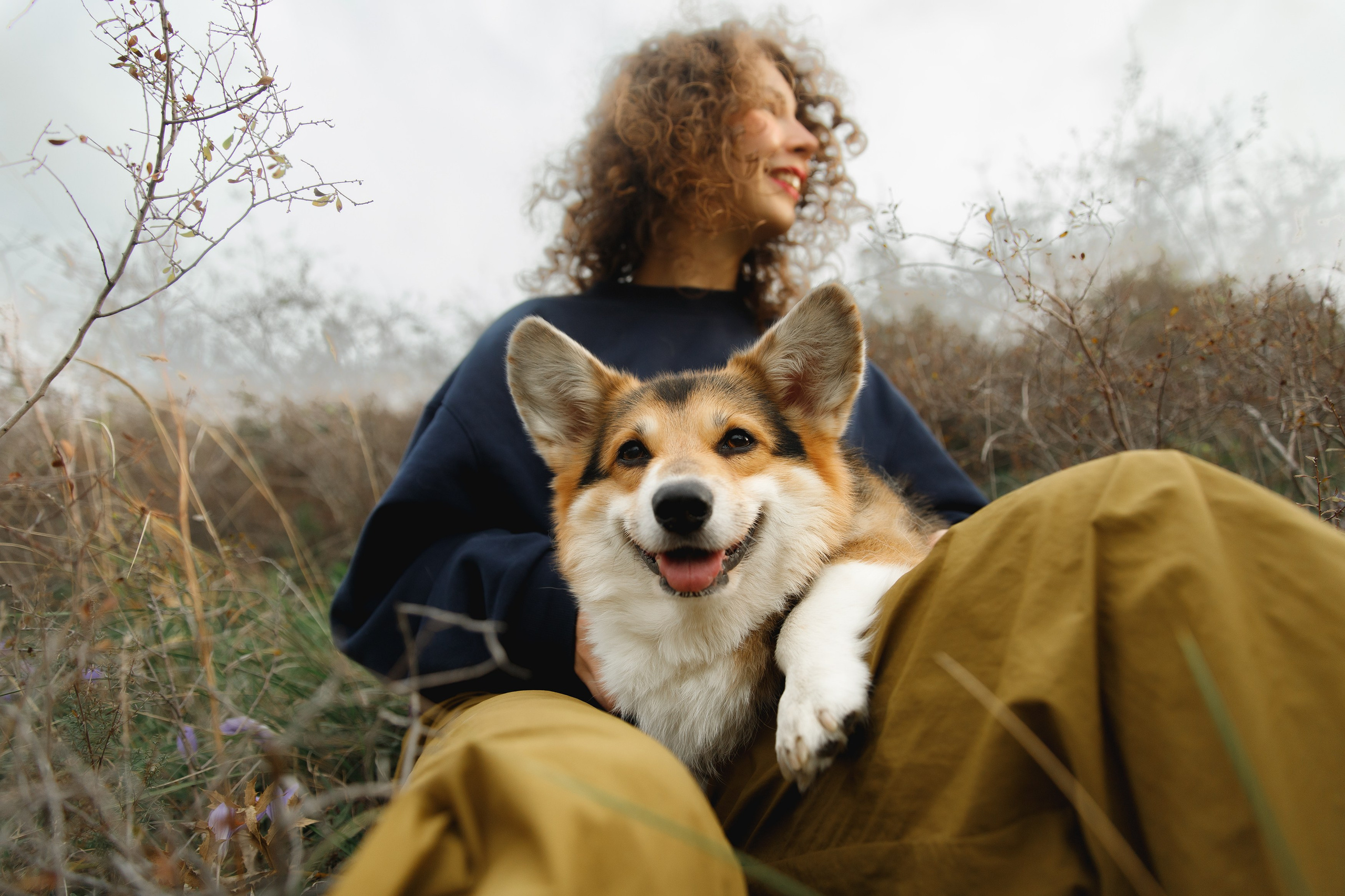 Sasha & Leonid. Kaja | fotograf psów we Wrocławiu
