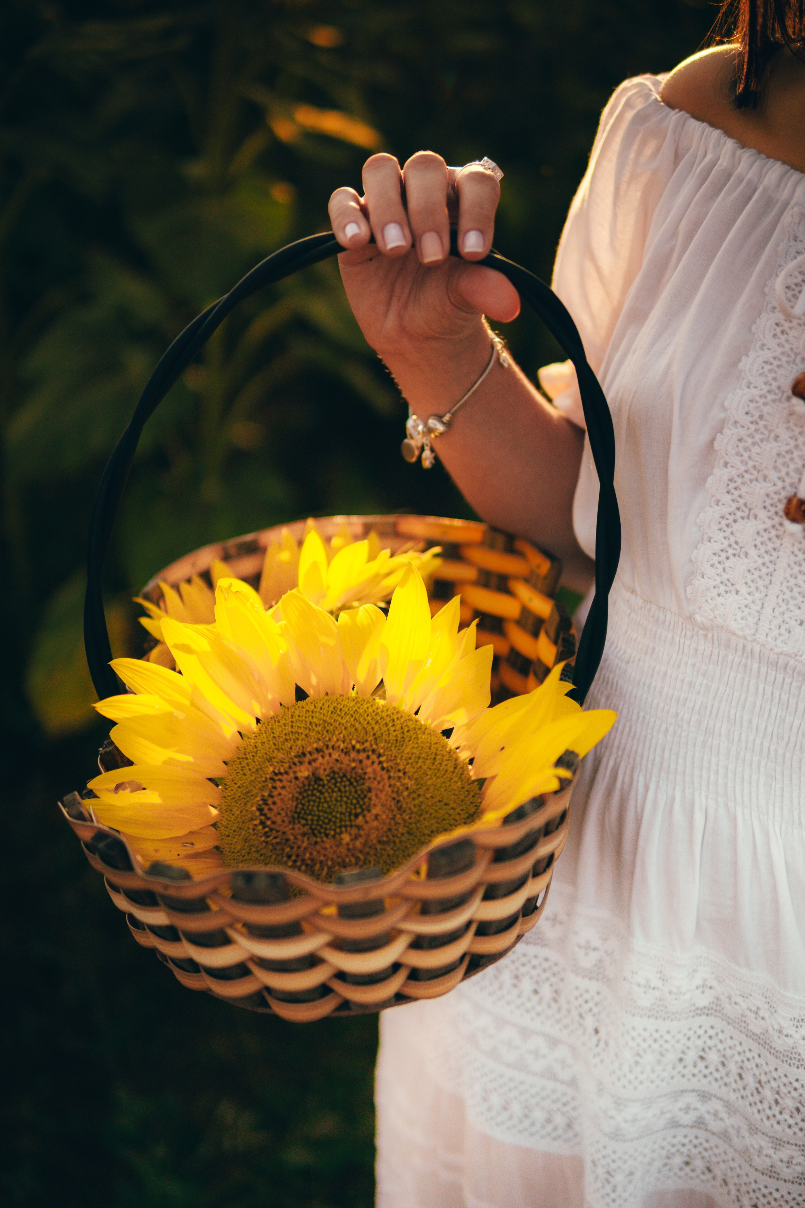 Debutante. Reference Visuals