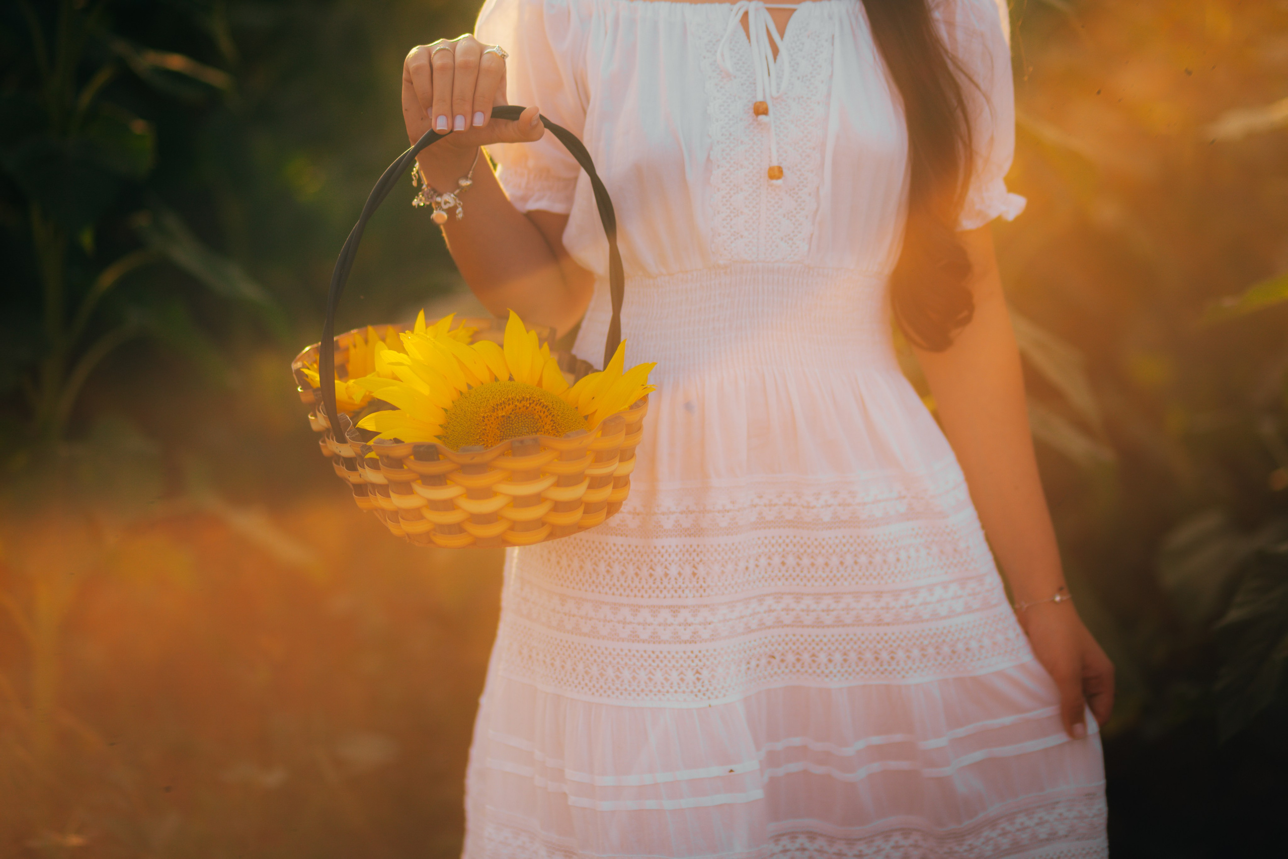 Debutante. Reference Visuals