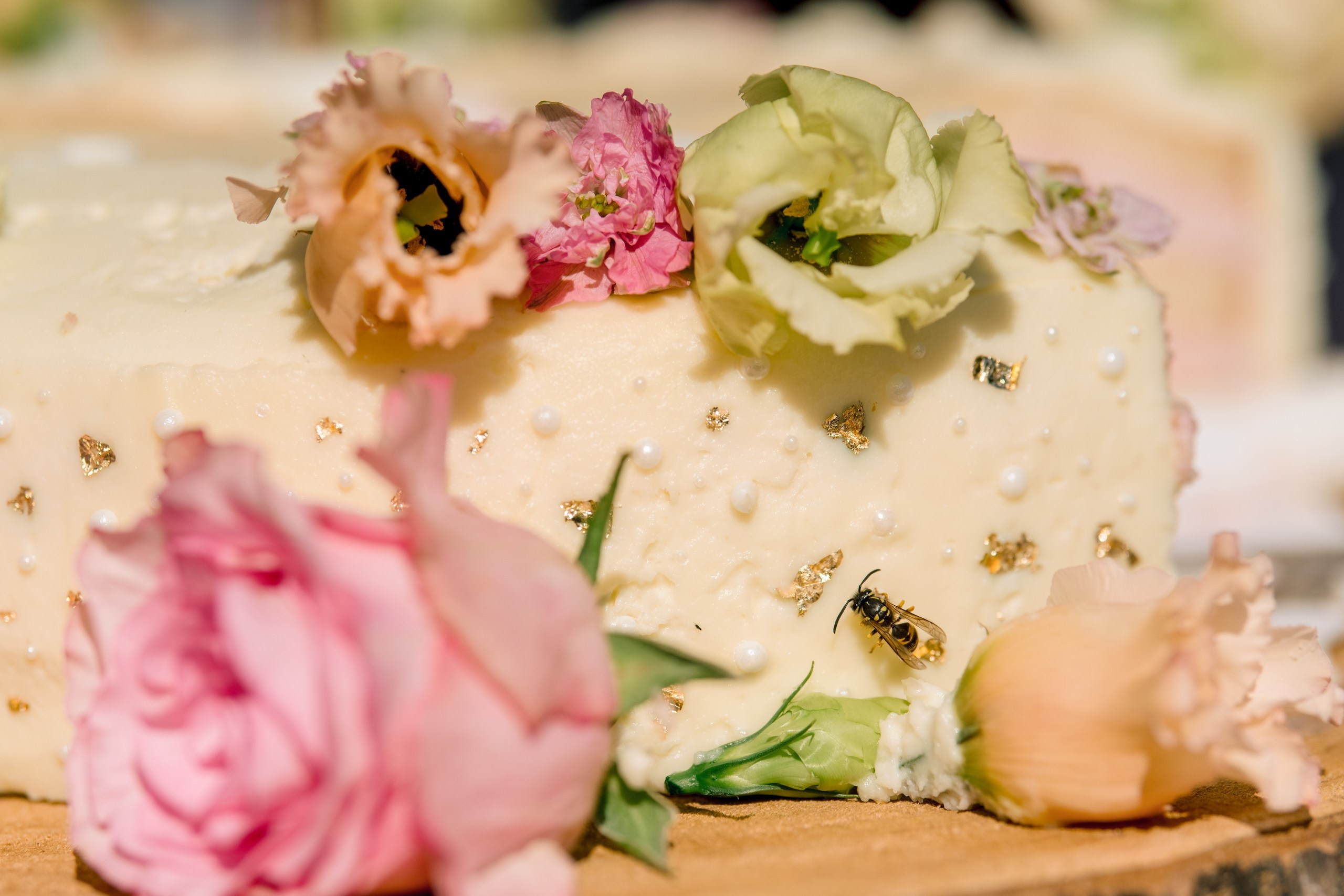 Hochzeit Kloster Bronnbach – Hochzeitsfotografin Würzburg. Hochzeitsfotograf Würzburg | Anna Saribekyan