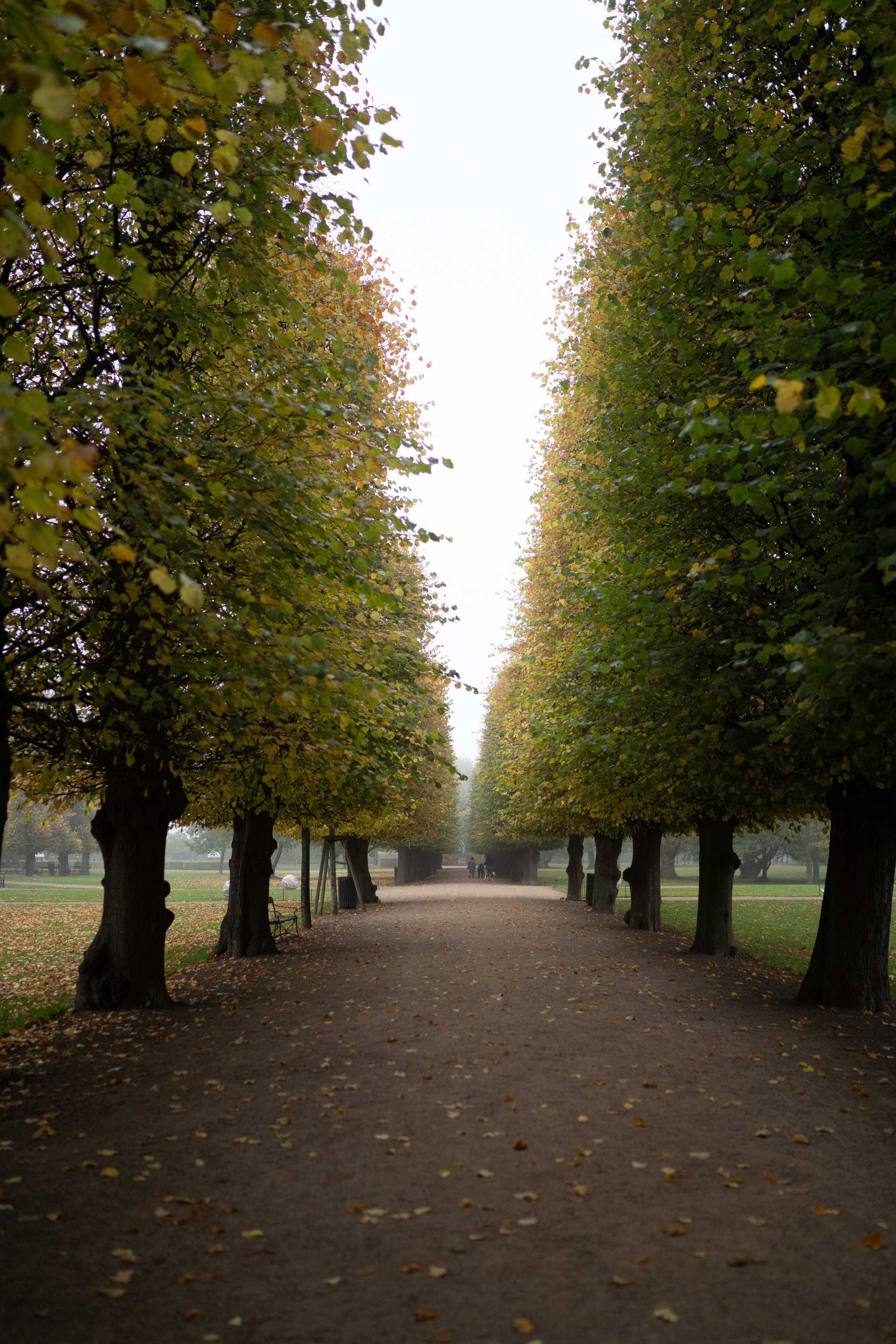 Wedding. Photographer in Copenhagen Olga Maliuk