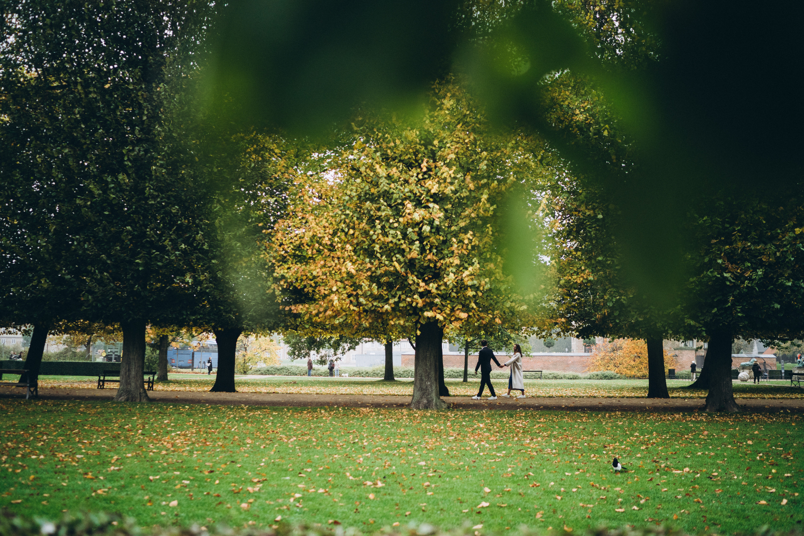 Wedding. Photographer in Copenhagen Olga Maliuk