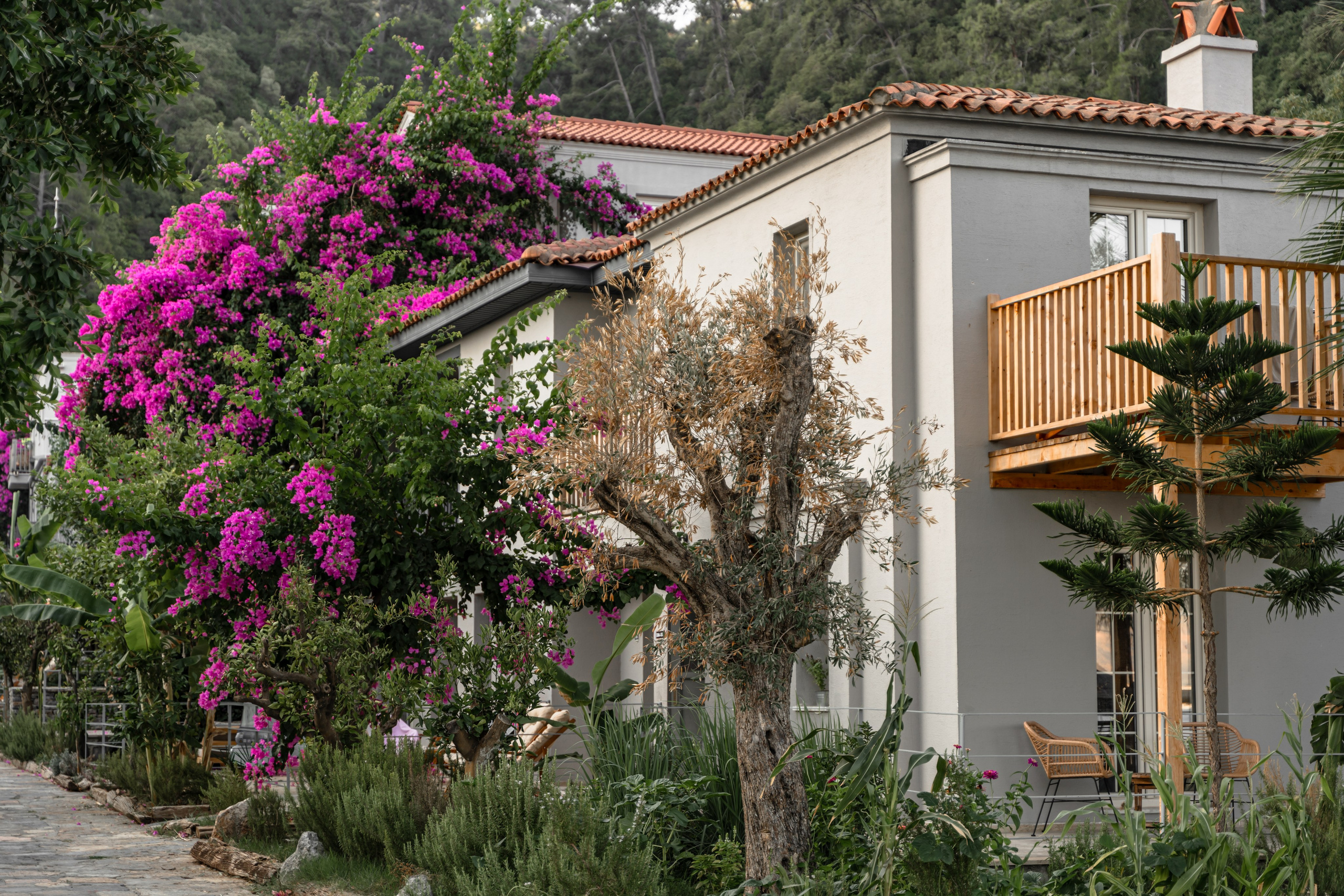 Adakoy. Photo & Videos