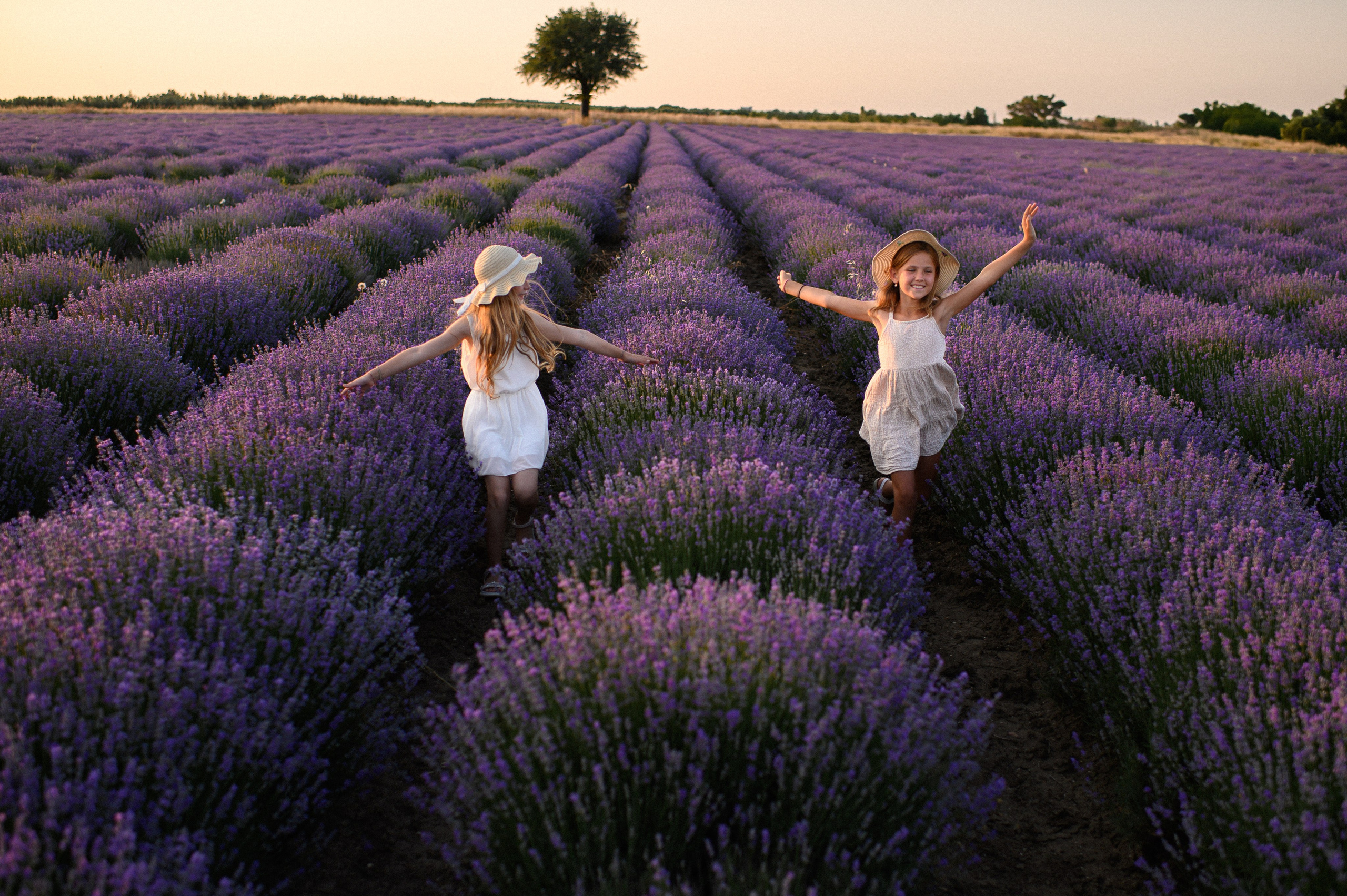 Lavender Field. Семейная, детская, портретная и предметная фотосъемка в Салониках