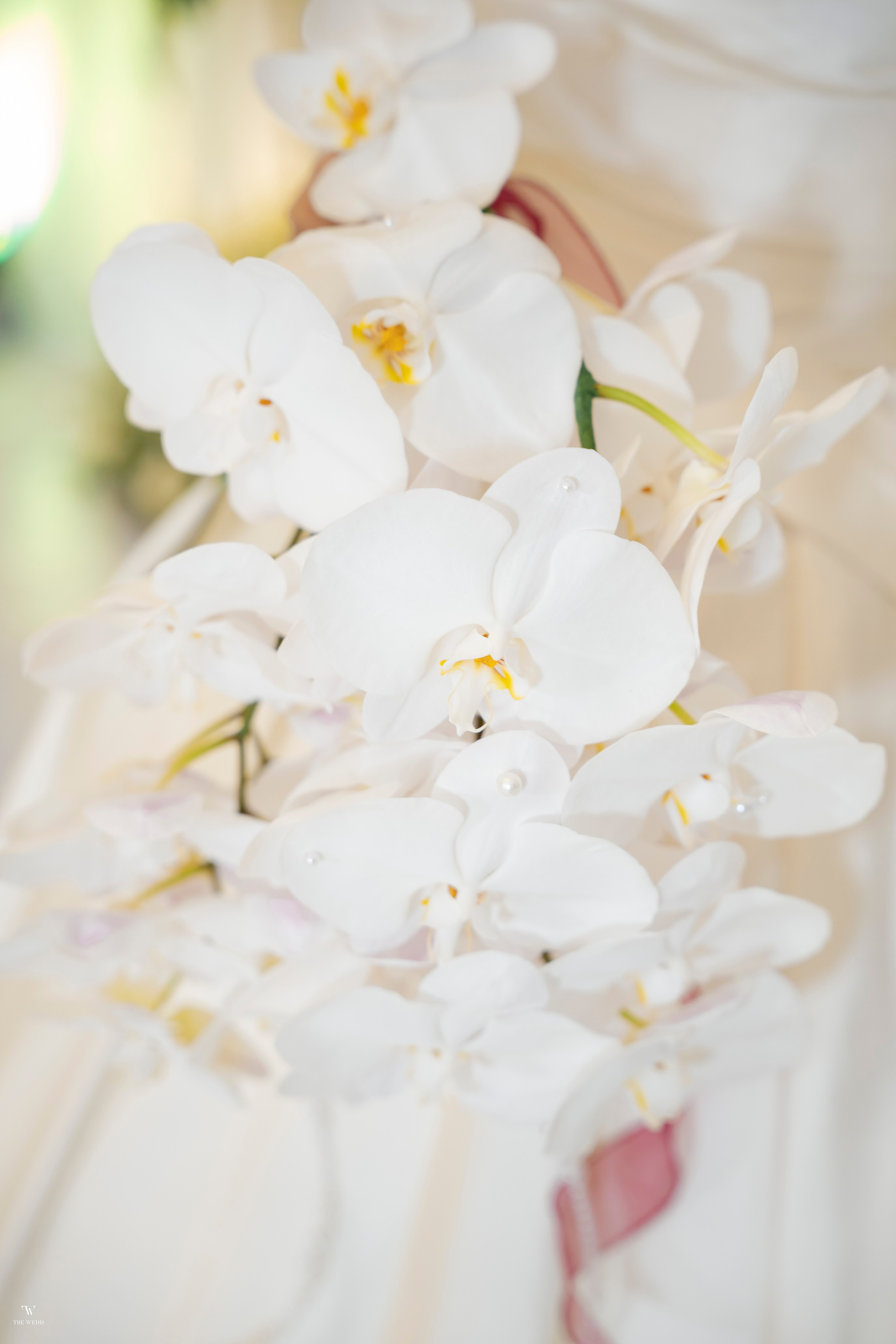 PHUC & TRANG. WEDDING PHOTOGRAPHER IN VIETNAM