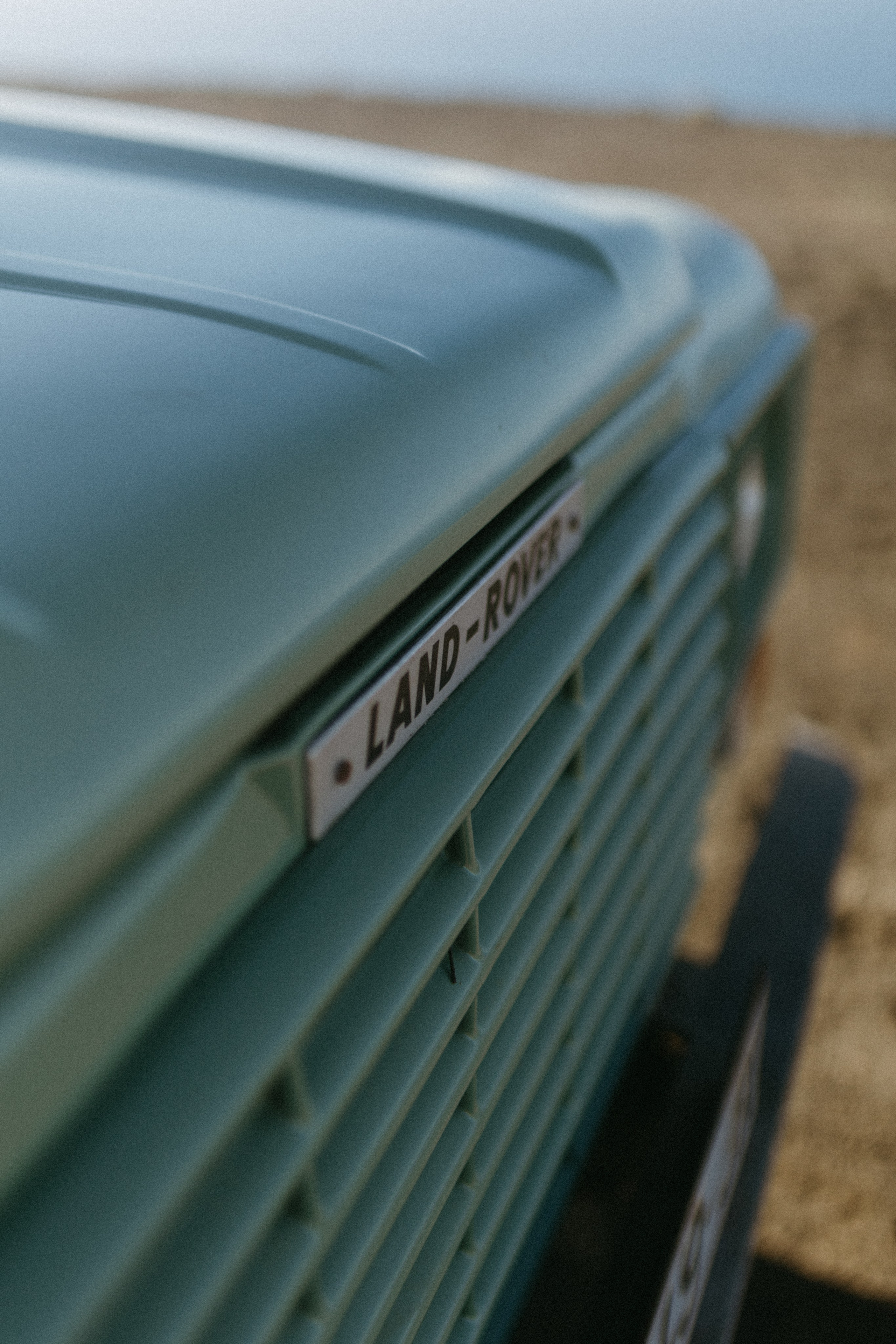 Lanzarote Turtles Van. Patricia Morenci — Mountain Adventures for the Wild at Heart