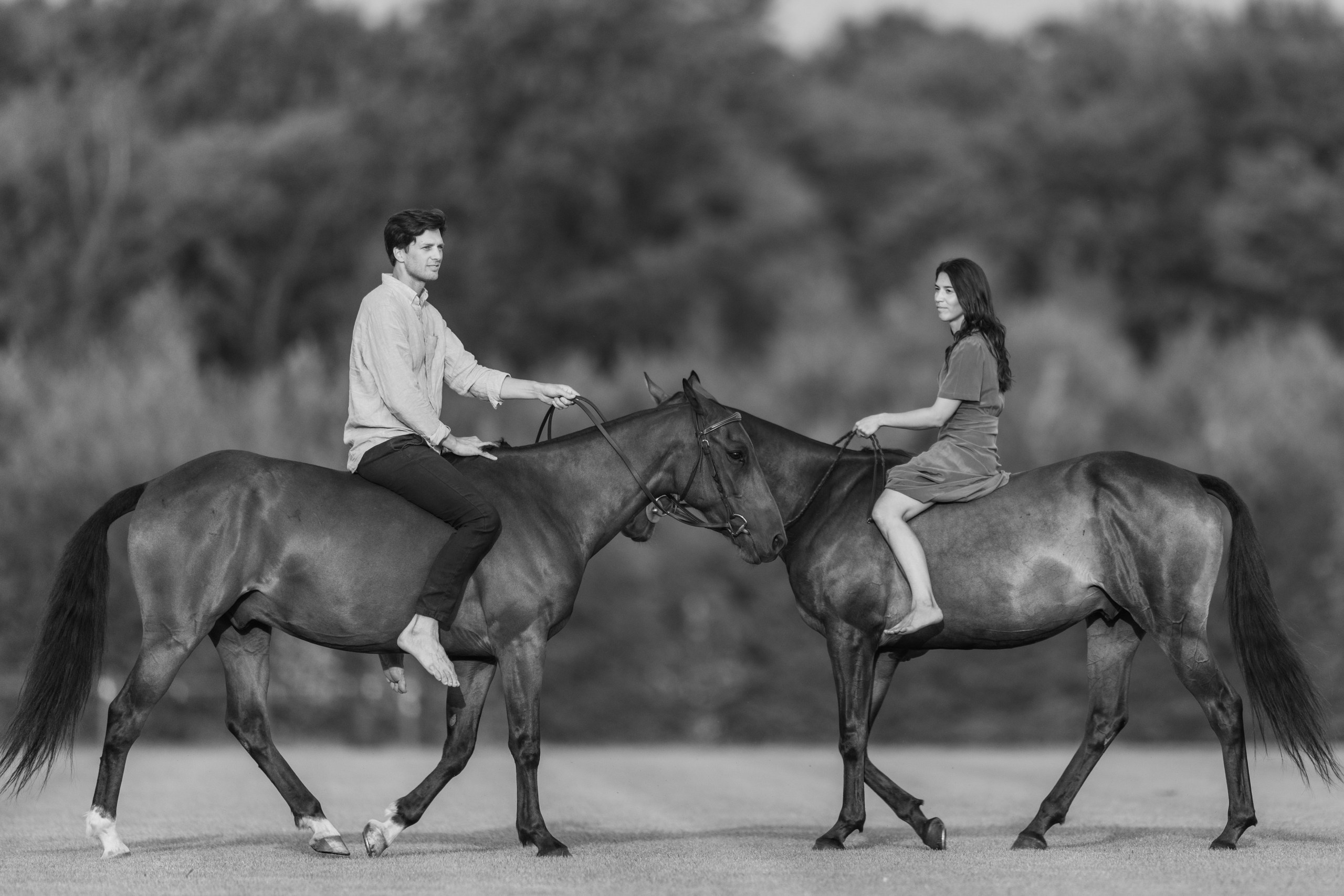 Photo shoot with horses