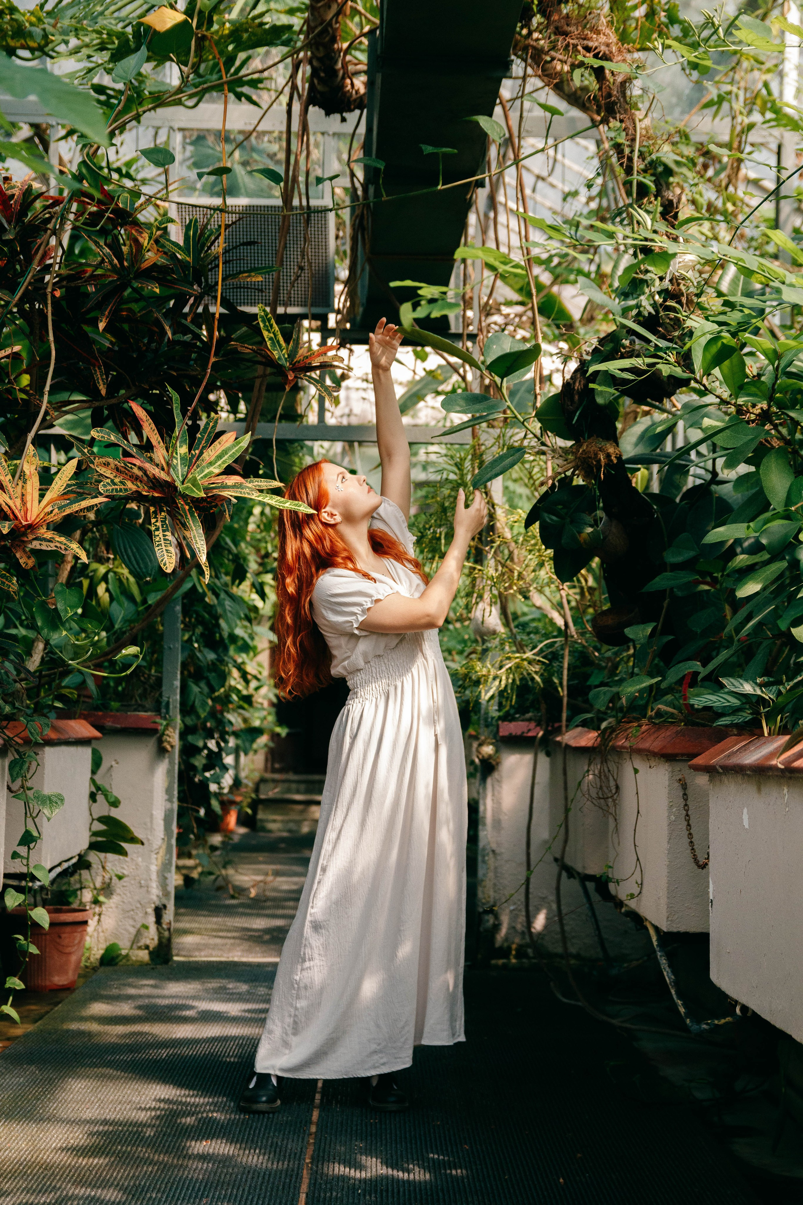 Фотограф и видеограф во Вроцлаве