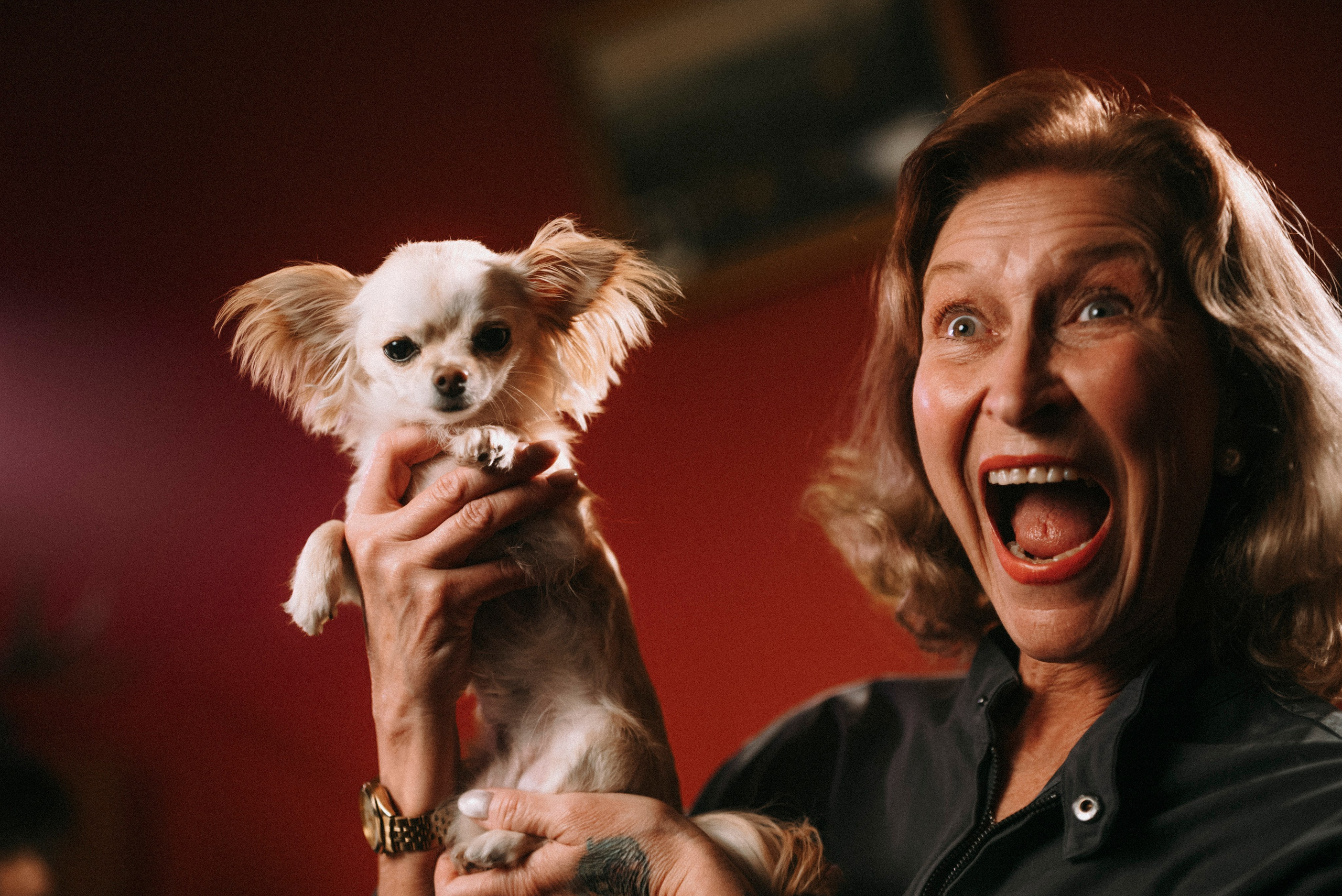 2025. Стрит-фотография, полная абсурда, идиотизма и красоты