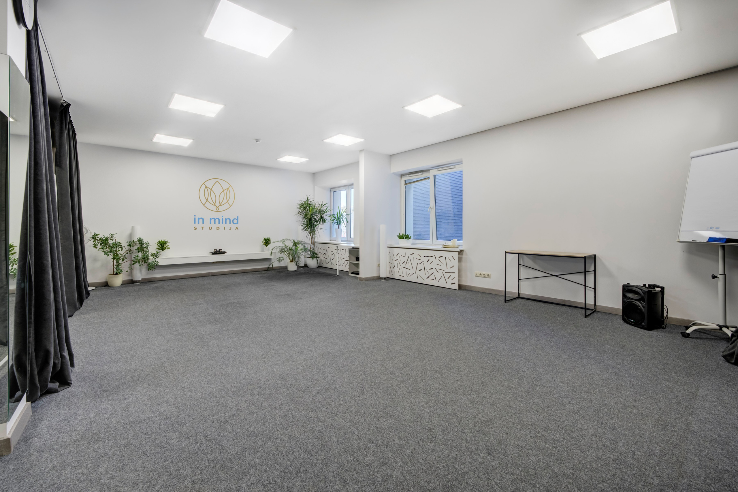 Saltoniškių g. 31. Elina Sapiega fotografė Vilniuje