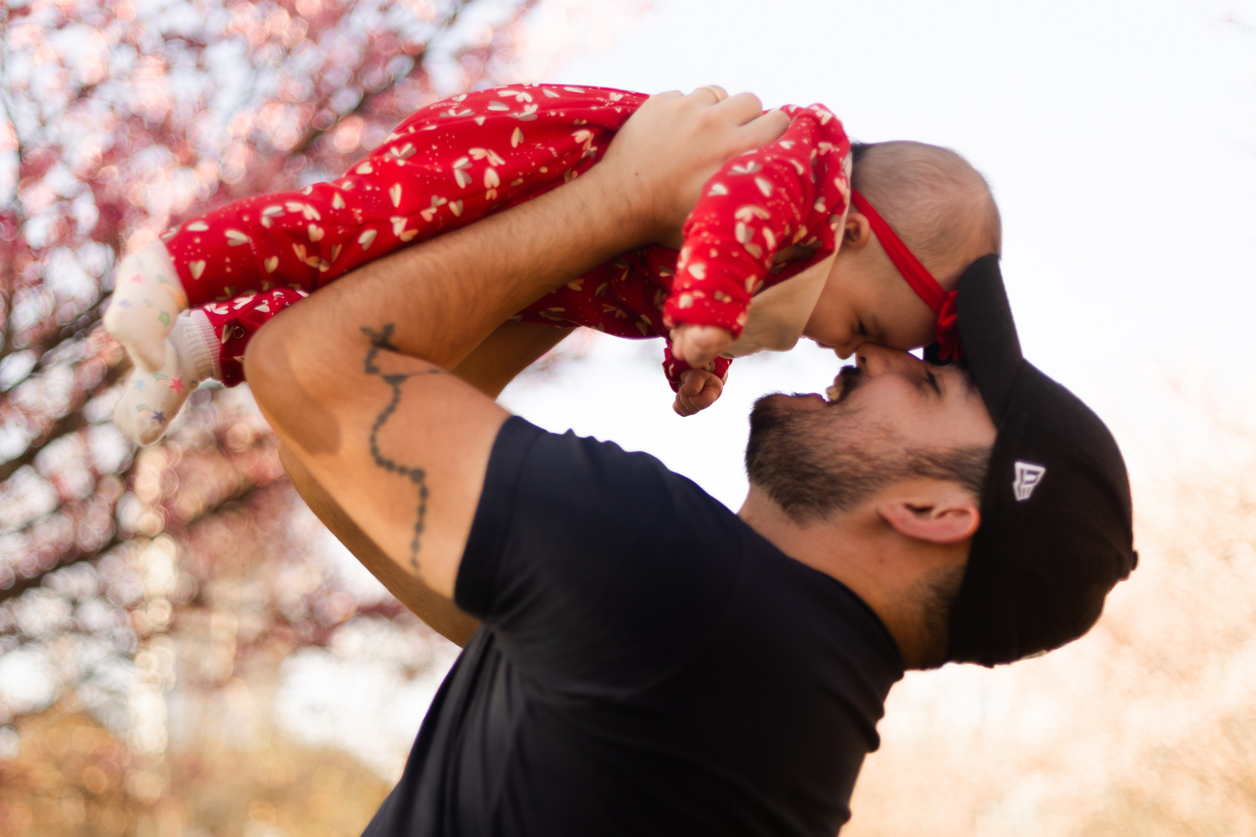 Minha familia nas cerejeiras